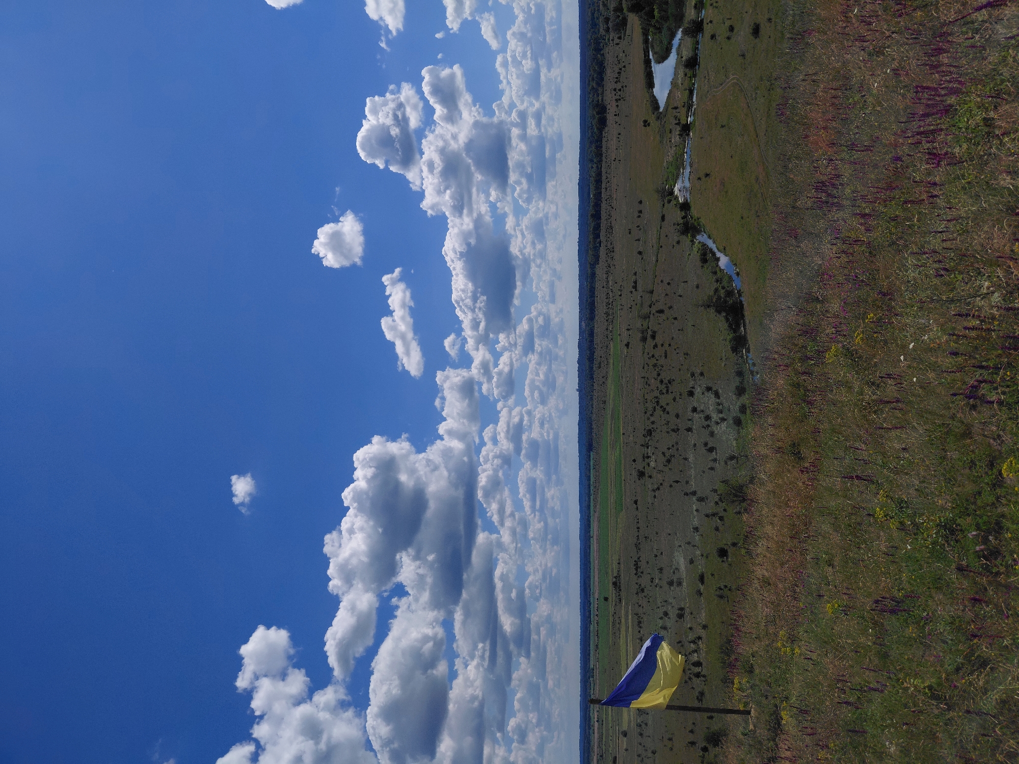 The image depicts a rural landscape in Ustyvytsia, Ukraine, under a bright blue sky with scattered white clouds. In the foreground, a Ukrainian flag on a wooden pole waves from the left side of the frame. The flag, composed of two horizontal bands of blue and yellow, is partially unfurled. The ground in the immediate foreground is covered with green grass and wild purple and yellow flowers.
Beyond the foreground, the terrain slopes down into a vast, open field dotted with sparse vegetation and a winding river that reflects the blue sky. The landscape stretches to the horizon, where it meets a dense line of trees, and further in the distance, a faint silhouette of buildings can be discerned. The overall impression is one of a serene, natural environment under a dynamic sky.