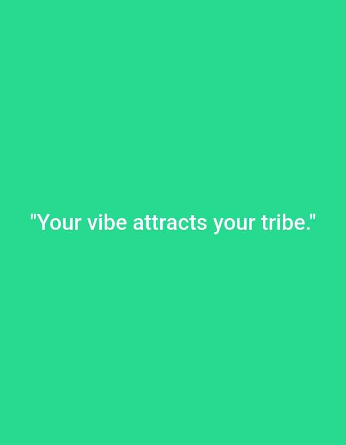 The image displays a plain, bright green background with white text. The text reads, "Your vibe attracts your tribe." There are no people, objects, or any indication of a location in the city of Voluntari, Romania, or any other location. The image is a simple graphic with a motivational quote.