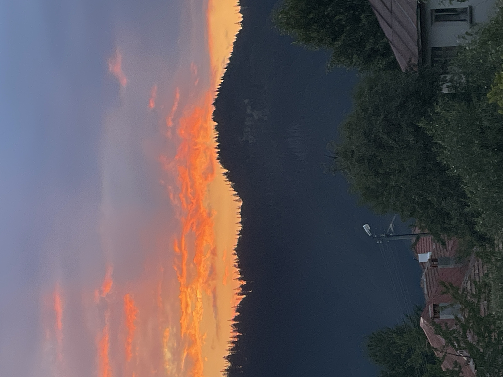 The image depicts a mountain range covered in a dense forest of evergreen trees, silhouetted against a vibrant sunset sky. The sky is ablaze with fiery orange and red clouds, interspersed with streaks of purple and blue. In the foreground, the rooftops of houses are visible, some with red tile roofs and chimneys. A streetlamp on a utility pole stands among the trees. The scene appears to be set in a rural or semi-rural area, likely on the outskirts of Manastir, Bulgaria, given the presence of traditional houses and the natural mountain landscape. There are no people visible in the image. The overall atmosphere is one of natural beauty and tranquility.