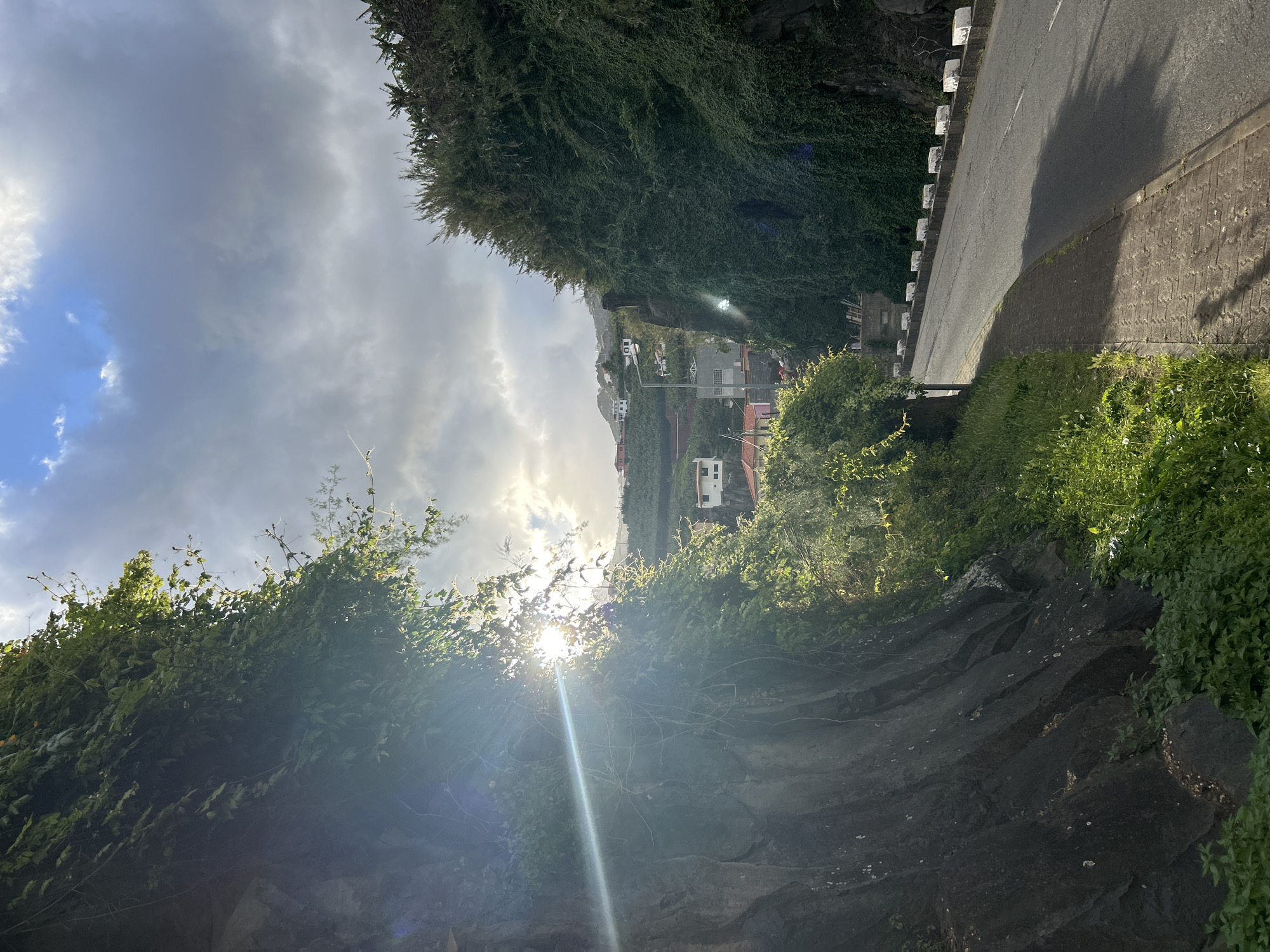 The image depicts a view in the city of Câmara de Lobos, Portugal. The foreground features a rock wall covered with vegetation. Above the wall, the scene opens up to a hillside dotted with houses and buildings. The sun is visible, obscured by foliage, creating a lens flare effect. To the right, a road with white barriers is seen. The sky is overcast with a mix of gray clouds and patches of blue.