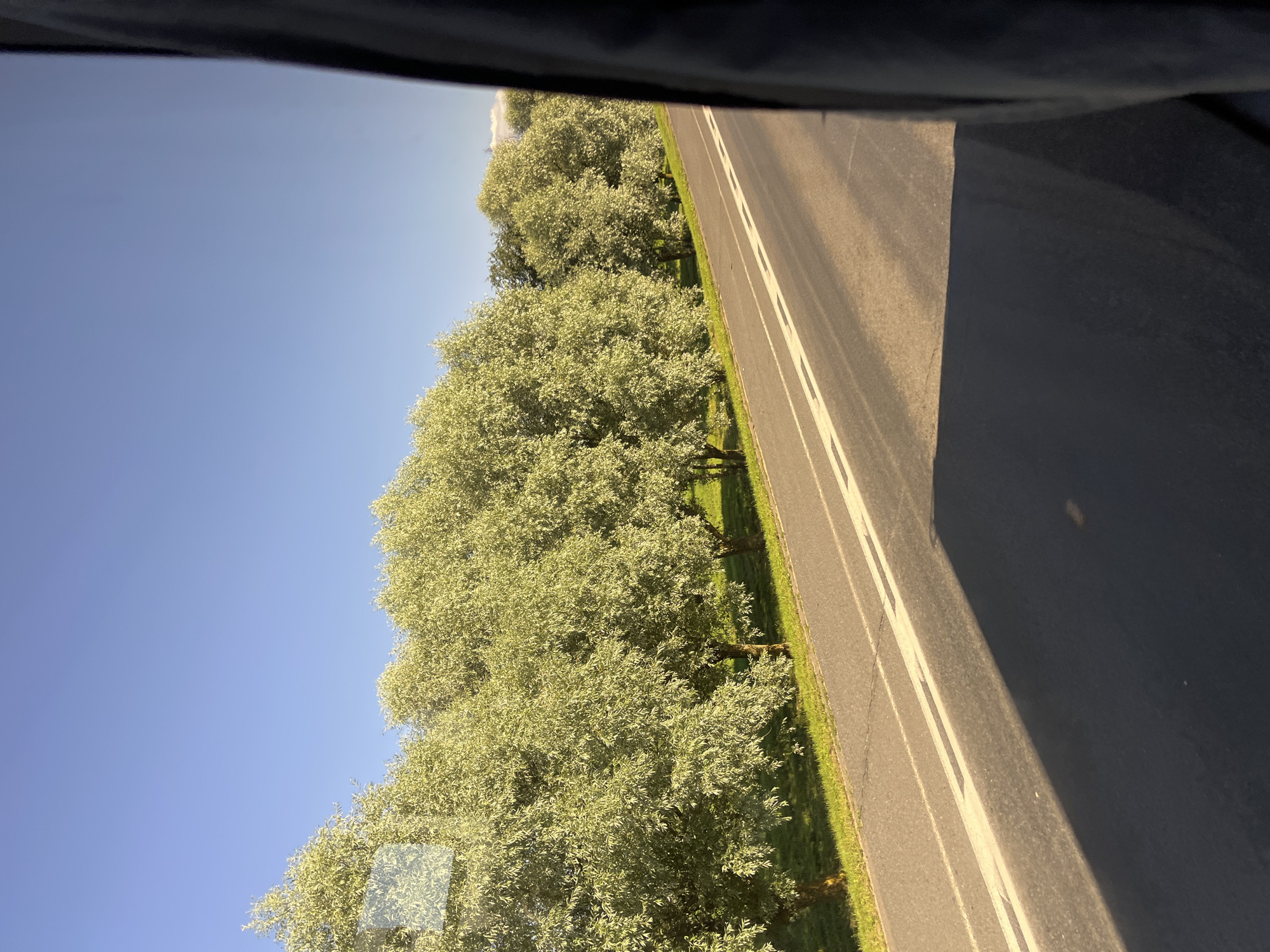 A scenic view of a tree-lined road under a clear blue sky. The road, paved with asphalt, is marked with white lines. On the left side of the road, a row of trees with lush green foliage stands along a grassy embankment. The trees are of moderate height and appear to be deciduous, with their leaves illuminated by sunlight. The right side of the image is partially obscured by a dark, vertical element, possibly a vehicle window frame or a pillar. The scene suggests a journey through a picturesque rural or suburban area in the city of Myadzyel, Belarus, on a bright, sunny day.