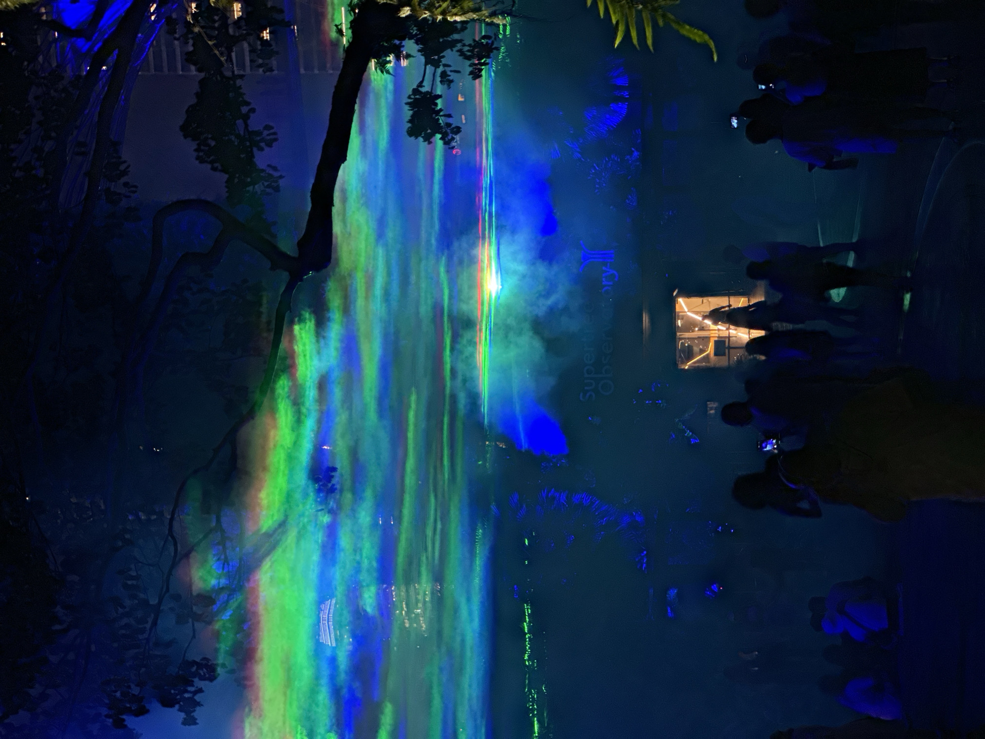 This image captures a nighttime scene at the Supertree Observatory in Singapore. The observatory is illuminated by a vibrant display of green and blue lights, creating a surreal, aurora-like effect against the dark sky. Silhouetted figures of people are visible in the foreground, some holding up phones to capture the spectacle. The observatory's architecture is faintly visible through the mist and light projections. Trees with dark branches frame the scene, adding to the atmospheric and otherworldly ambiance. The city skyline, with illuminated buildings, is visible in the background. The overall impression is one of wonder and technological artistry in an urban setting.