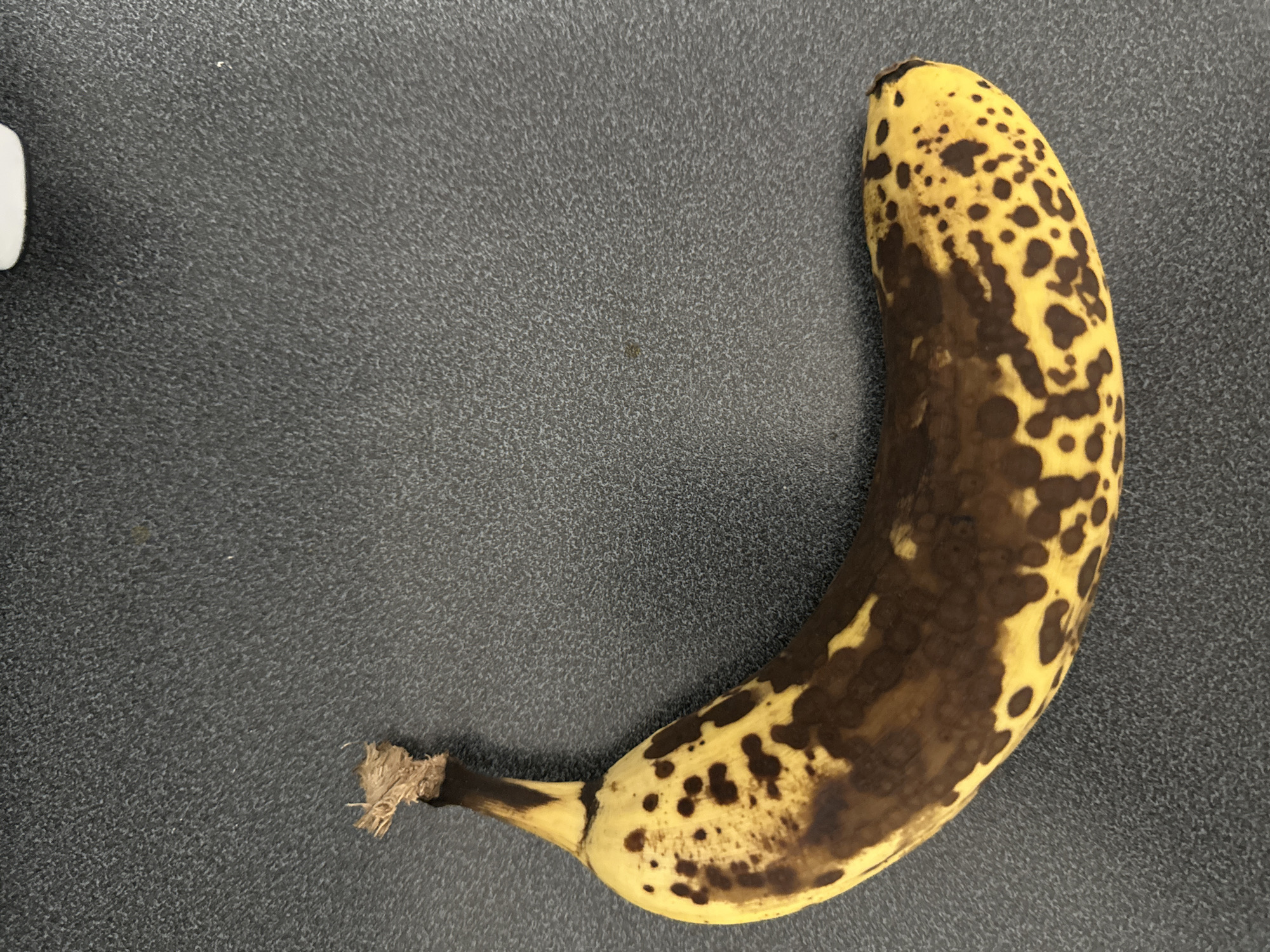 The image depicts a single, ripe banana lying on a dark, speckled surface. The banana is predominantly yellow with numerous brown spots and patches, indicating advanced ripeness. The stem end of the banana is brown and appears slightly frayed. There is a white object to the left of the banana, partly visible. The background surface is a uniform, dark gray color with a subtle speckled texture. The location and city are Unknown.