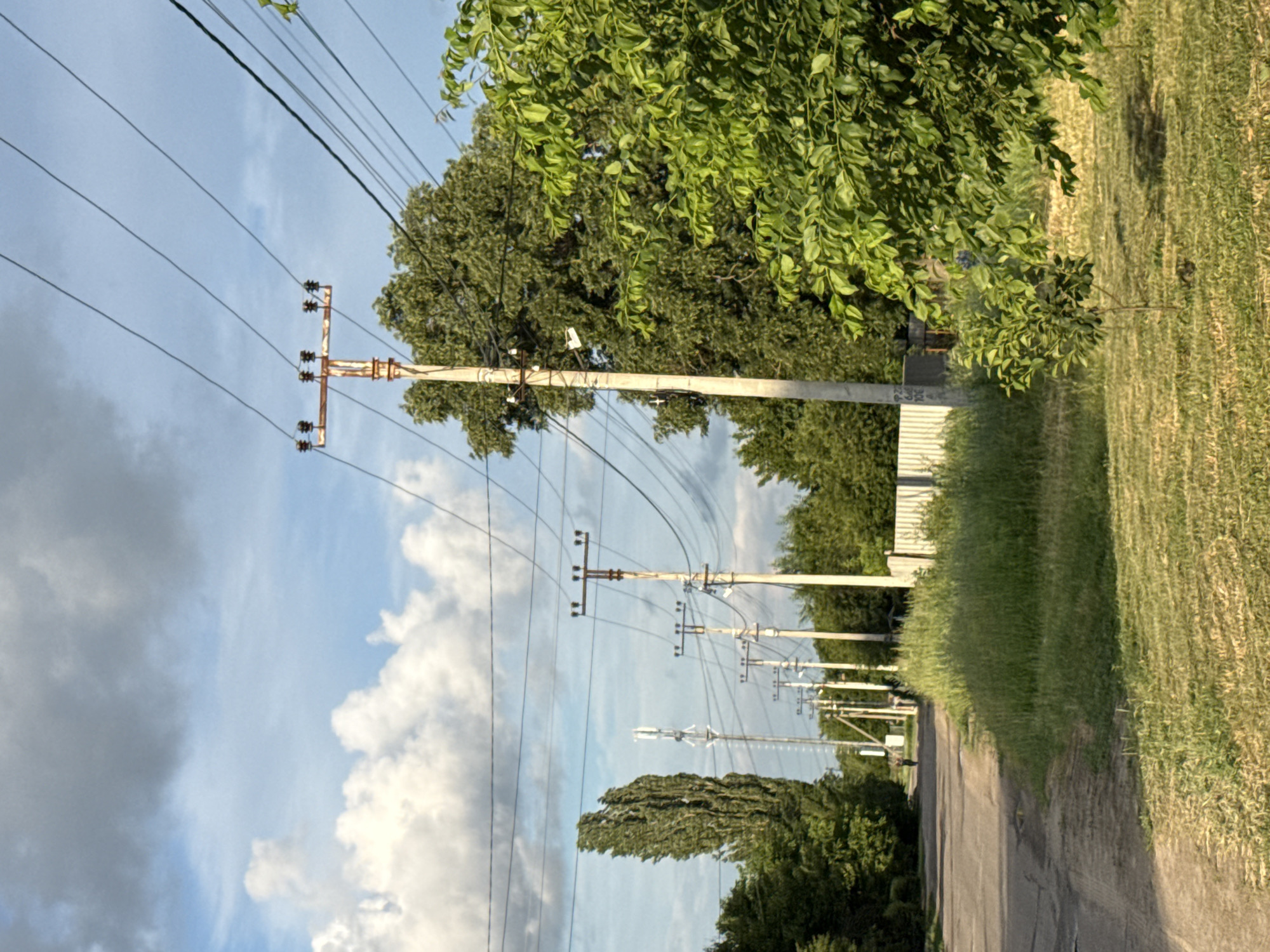 The image depicts a street in Rossosh, Russia, lined with power lines supported by numerous poles. A tall, slender tree stands on the left side of the road, with a cell tower visible further down. The road appears to be asphalt, with some wear and tear. On the right side of the road, there is a large tree and a smaller sapling, with a white fence and tall grass in the background. The sky is partly cloudy, with a mix of blue sky and white clouds. A lone figure is walking down the road in the distance. The scene appears to be an outdoor, rural or suburban setting.