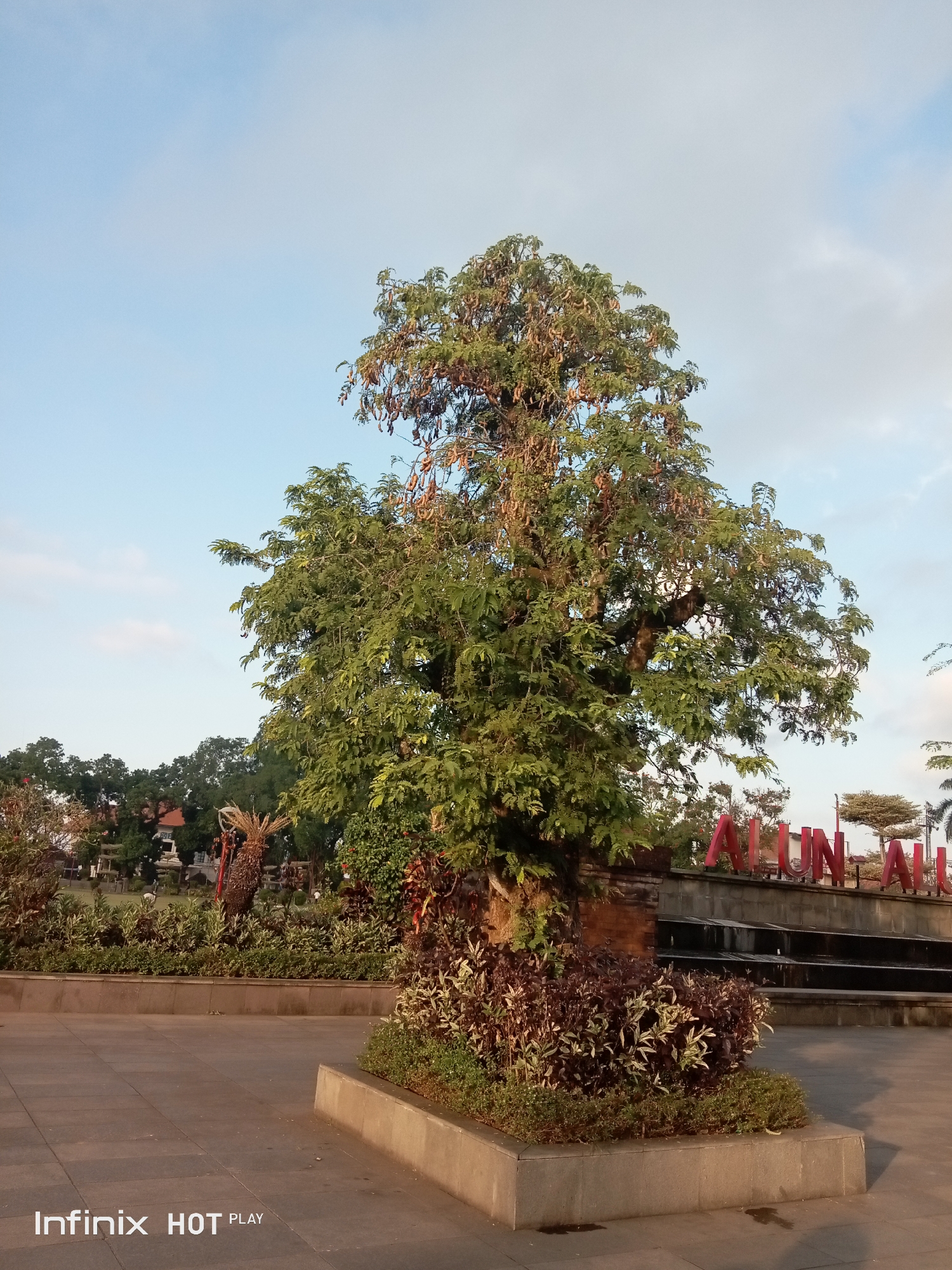 The image depicts a public space in Gianyar, Indonesia, likely an alun-alun (town square). In the foreground, a paved area leads to a planter box containing a large, mature tree with green leaves and visible seed pods. Beyond the tree, a tiered water feature is visible, with red lettering spelling "ALUN ALUN" mounted above it. Lush greenery and other trees form a backdrop, with a building and a clear blue sky with light clouds completing the scene. The lighting suggests it is either early morning or late afternoon. There are no people visible in the image. The "Infinix HOT PLAY" watermark is present in the bottom left corner.