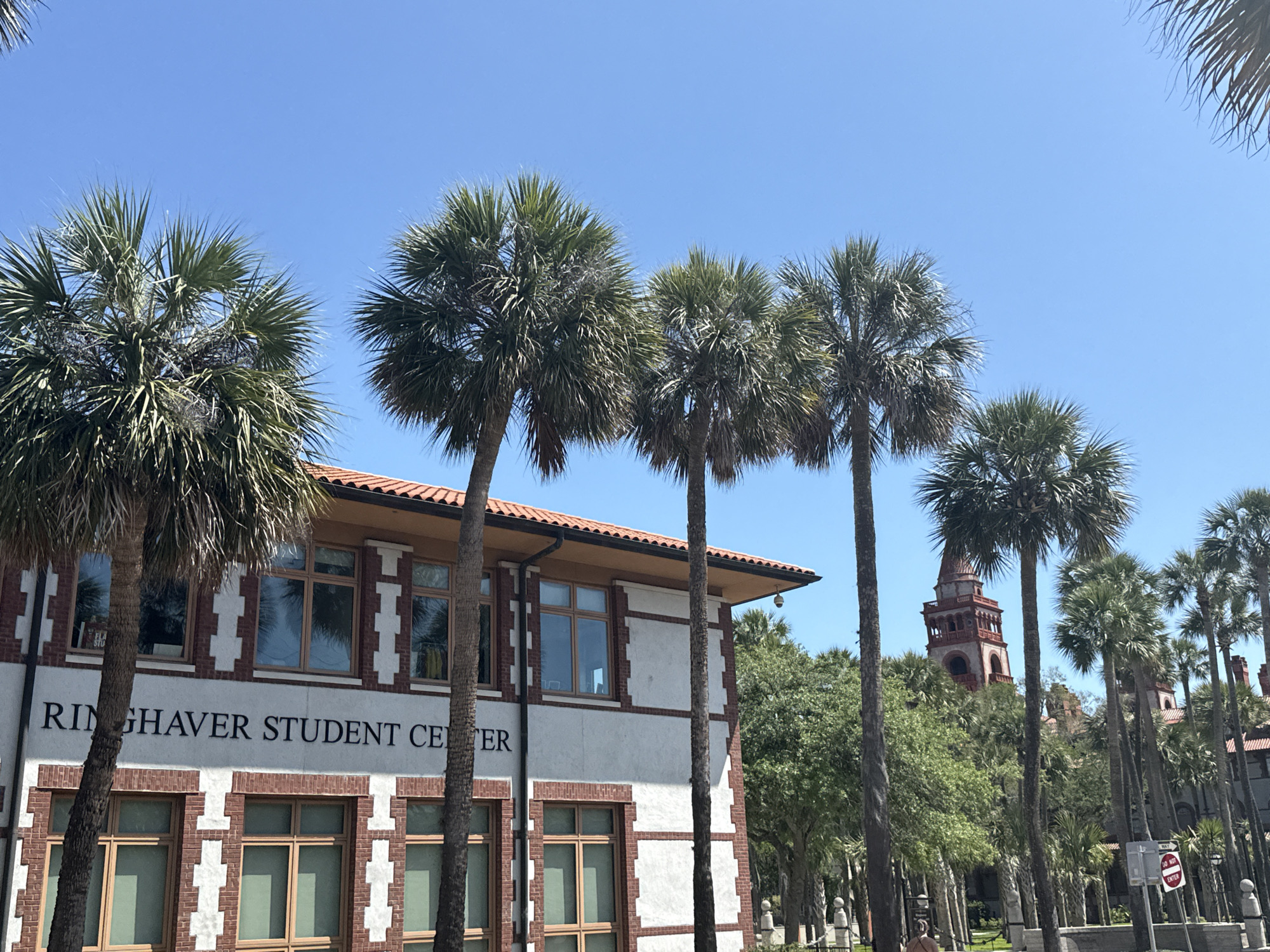 The image depicts an exterior daytime view in Saint Augustine, Florida, United States. The Ringuhaver Student Center is partially visible, featuring a white facade, red brick accents, and several windows. A row of palm trees stands in front of the building, partially obscuring the view. In the background, a distinct tower with red-tinted architecture is visible, further emphasizing the location's connection to St. Augustine's historical architectural style. Additional trees and landscaping are also evident, contributing to the overall setting. The sky is clear and blue.