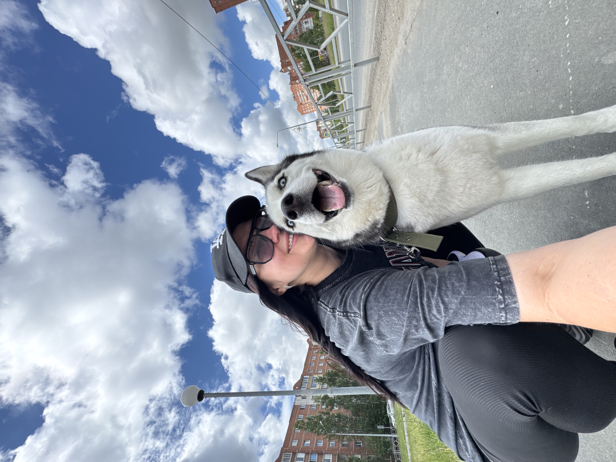 A woman is taking a selfie with a husky dog outdoors on a bright, cloudy day. The image is captured from a low angle, looking slightly upwards. The woman has long dark hair and is wearing a black baseball cap with a white "HH" logo, sunglasses, a grey short-sleeved t-shirt, and black ribbed leggings. She has a faint smile and appears to be leaning into the dog, with her cheek touching its head.
The husky dog, with prominent blue eyes and white and black fur, is captured mid-expression with its mouth wide open, tongue visible, appearing to be panting or "laughing" with joy. It has a green collar around its neck and is positioned closely next to the woman, with its head at her level.
The background features a vibrant blue sky filled with numerous large, white, fluffy cumulus clouds. Below the sky, there's a paved surface, likely a sidewalk or road, bordered by a metal barrier or fence. Beyond this barrier, several red-brick buildings with multiple windows are visible, indicating an urban or suburban setting. Green grass and some trees are also present. A lamppost stands on the left side of the frame. The scene exudes happiness and affection between the woman and her dog, under bright, clear daylight conditions.
