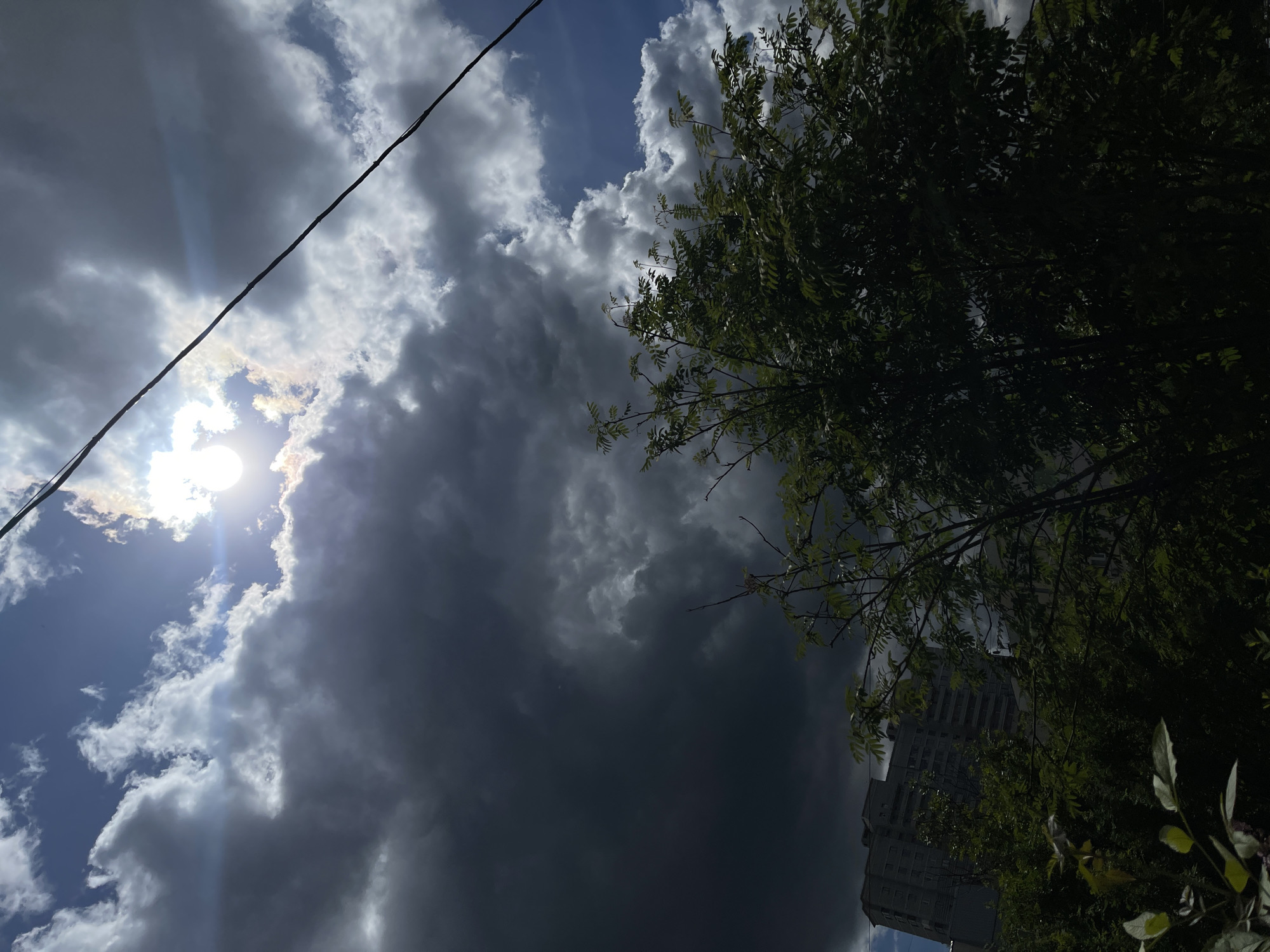The image shows a view looking upwards towards the sky. The sky is partially covered with large, dark, storm clouds, with some areas of blue sky visible. The sun is visible behind the clouds, creating a bright spot. A powerline runs diagonally across the top left of the frame. In the bottom right of the image, there is a tree with green leaves. Partially visible behind the tree is a tall building, seemingly a residential structure. The location is possibly in the city of Moscow, Russia.