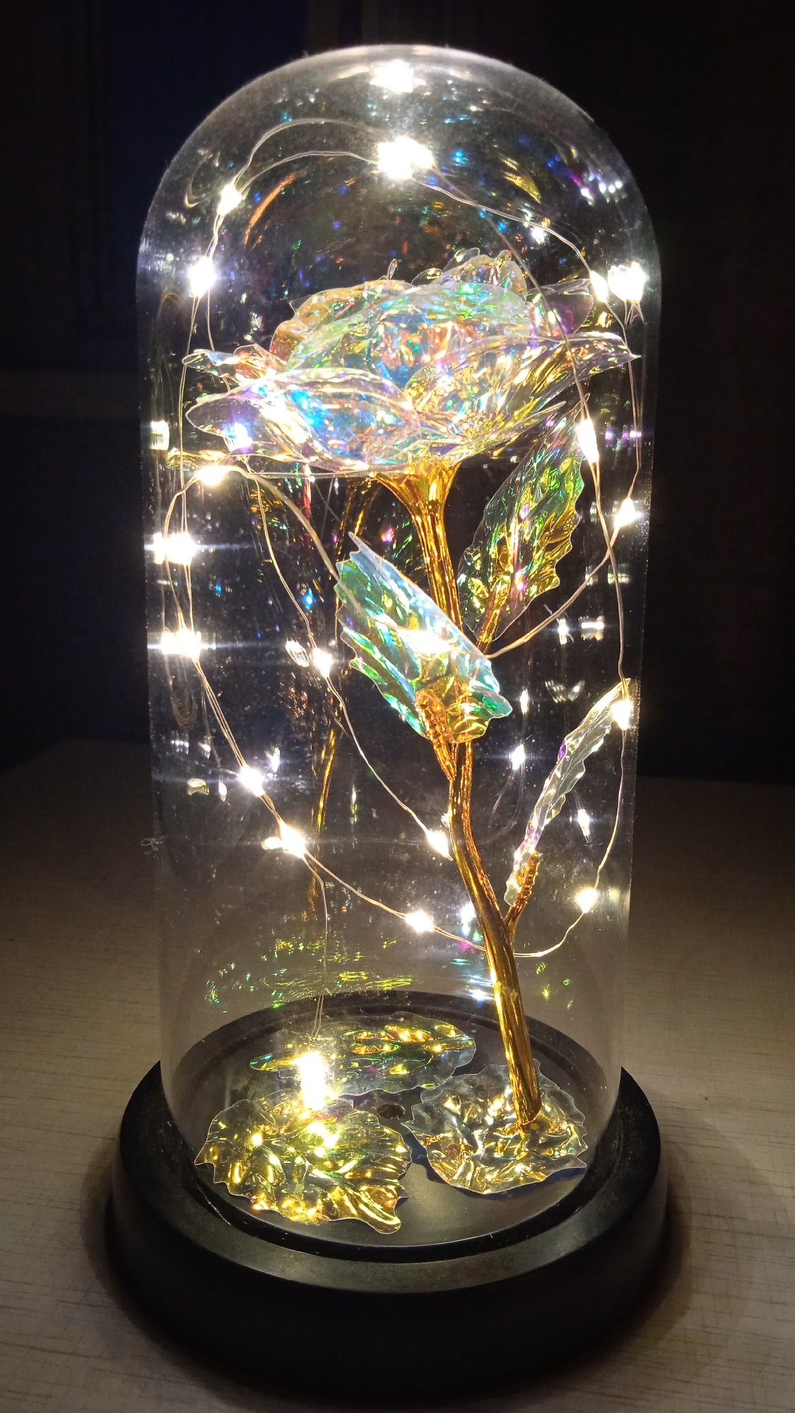 This is a still-life photograph of a decorative rose inside a glass dome, illuminated by a string of fairy lights. The rose appears to be made of iridescent material, reflecting a spectrum of colors. It is supported by a golden stem and has several golden, leaf-like accents at its base. The glass dome is transparent and slightly reflective. The base of the dome is black and sits on a wooden surface. The background is dark and out of focus, suggesting low ambient light. There is no indication of the city of Rybaki, Russia, or any people present in the image.