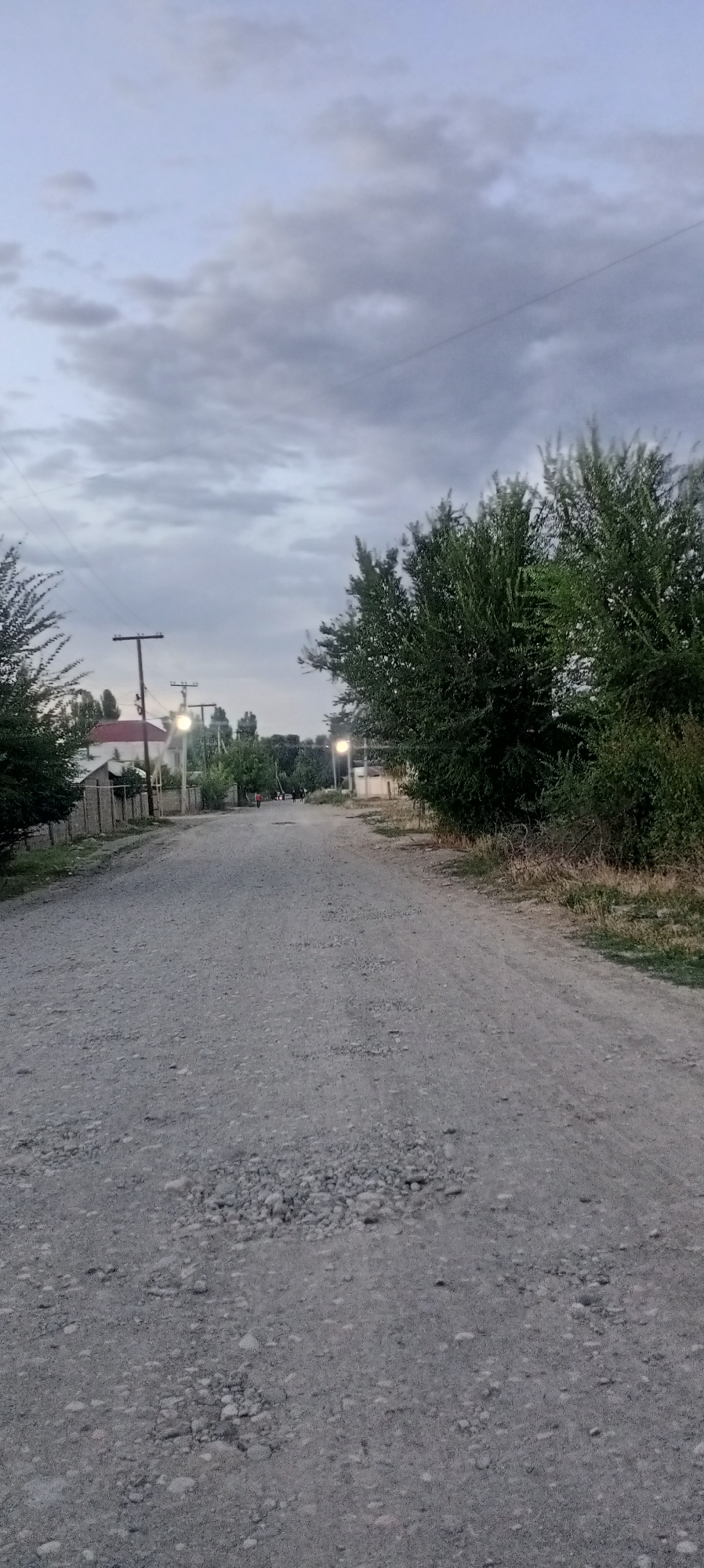 An exterior, vertical, eye-level, medium shot captures a gravel road in Romanovka, Kyrgyzstan under a cloudy sky. The road stretches into the distance, lined by trees on either side. On the left, a fence and a house with a red roof are visible. Streetlights illuminate the road, casting a soft glow. Several people are walking or standing on the road in the distance. The overall scene depicts a quiet, rural setting.