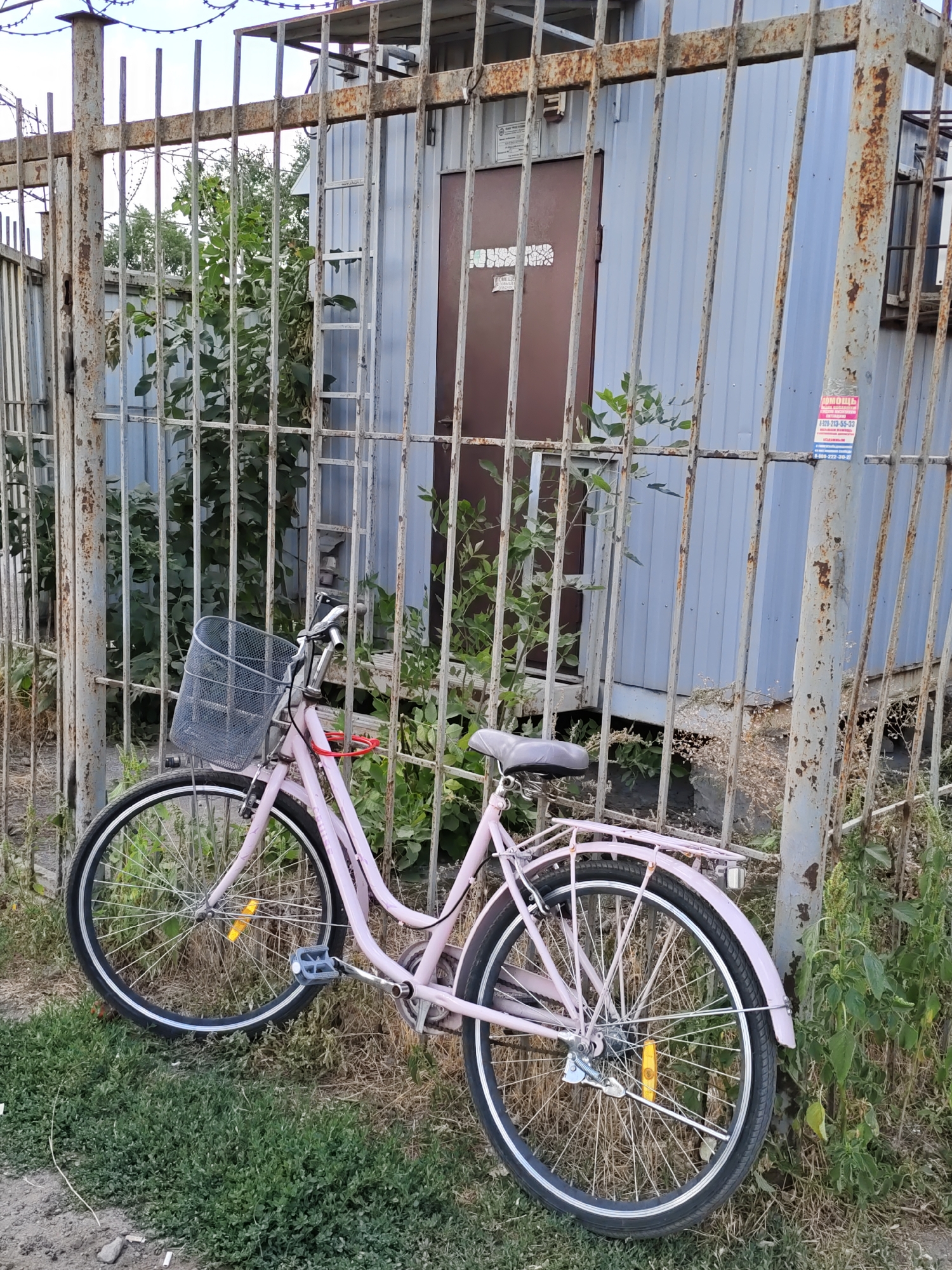 A pink bicycle with a basket is leaning against a weathered metal fence. The fence has rusted vertical bars and is topped with barbed wire. Behind the fence, a light blue, corrugated metal structure with a dark brown door is visible, possibly a small building or shed. Green foliage and dry grass grow around the base of the fence and the structure. The scene appears to be an outdoor area in an urban environment.