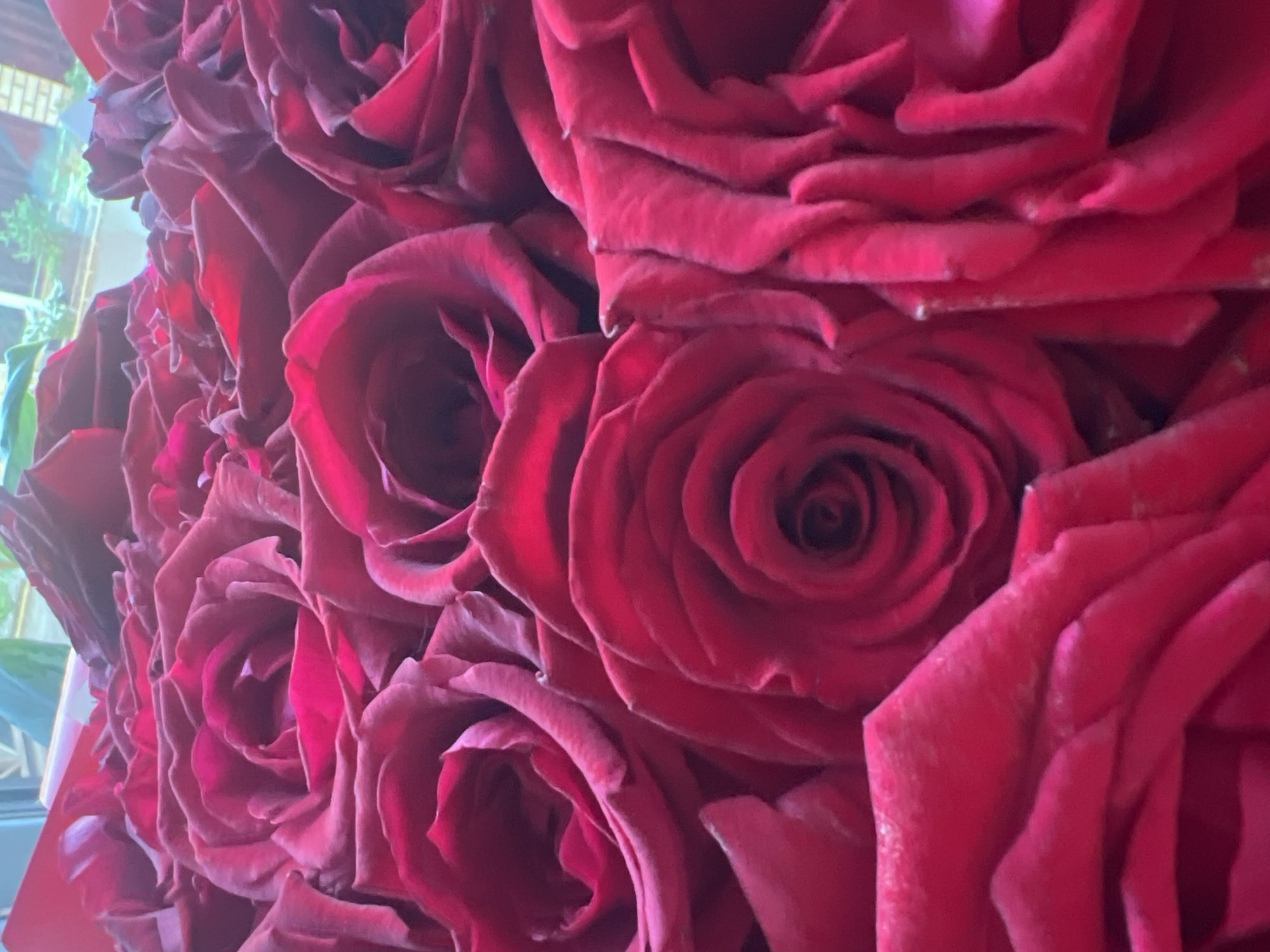 A close-up shot showcases a dense bouquet of deep red roses, their velvety petals tightly furled. The lighting emphasizes the rich, saturated color of the blooms, with some petals catching the light, revealing subtle variations in shade and texture. The background is out of focus, but hints of green foliage and a light-colored structure suggest an outdoor setting, possibly a garden or a place where flowers are displayed. There are no people visible in the image. The overall impression is one of lush beauty and classic elegance, with the deep red color evoking passion and romance. The image does not contain any visible text. The location context of Votkinsk, Russia, does not provide specific visual cues within the image itself, but it informs the potential cultural or aesthetic context of the floral arrangement.