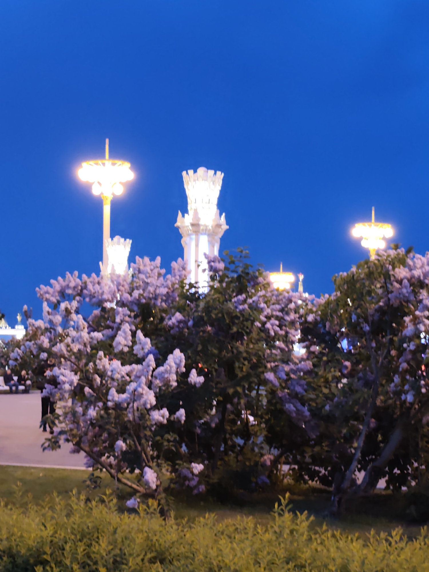 The image depicts a nighttime scene in Moscow, Russia, specifically at the Exhibition of Achievements of National Economy (VDNKh). In the foreground, there are bushes with blooming lilac flowers. Behind the bushes, illuminated structures resembling towers and ornate lampposts are visible against a dark blue sky. The foreground also includes green vegetation. The atmosphere is tranquil, suggestive of a park or garden setting within the city.