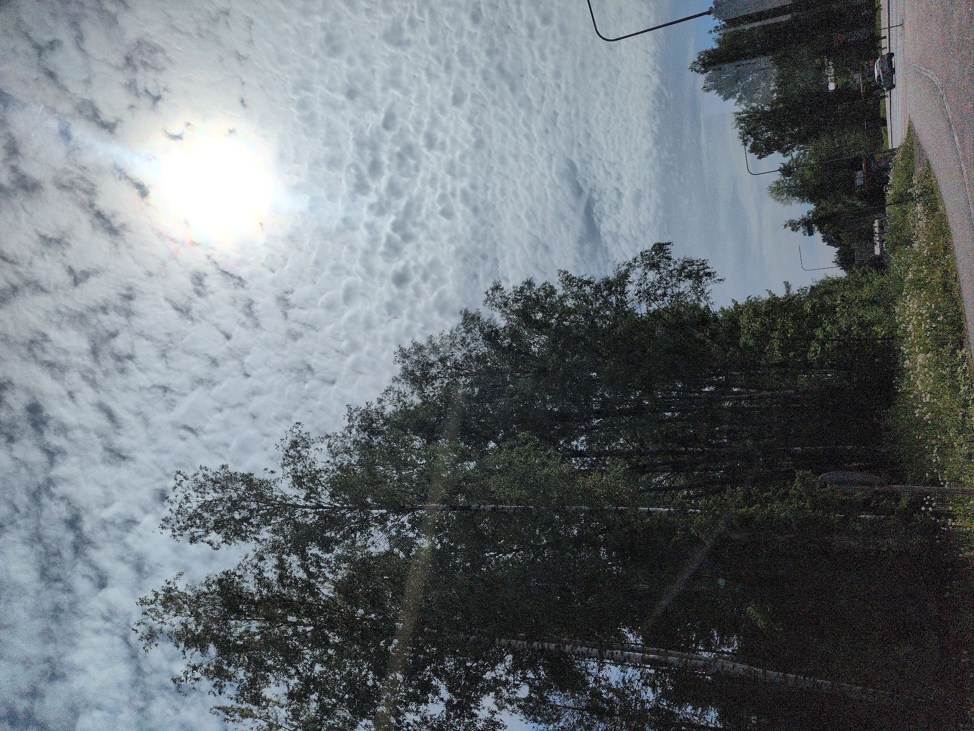 The image depicts a road scene in Helsinki, Finland, under a cloudy sky with the sun visible and creating a rainbow-like effect through the clouds. Tall trees, likely birch due to their distinctive white bark visible on some, line the left side of the road, forming a dense forest. The road curves to the right in the foreground. In the distance, there are streetlights, more trees, and what appears to be a bus stop or commercial buildings. A silver car is visible driving on the road in the middle distance, and a streetlight is prominent on the right side of the image. The foreground is a mix of asphalt and grassy areas with wildflowers. The overall impression is a naturalistic urban environment on a partly sunny day.