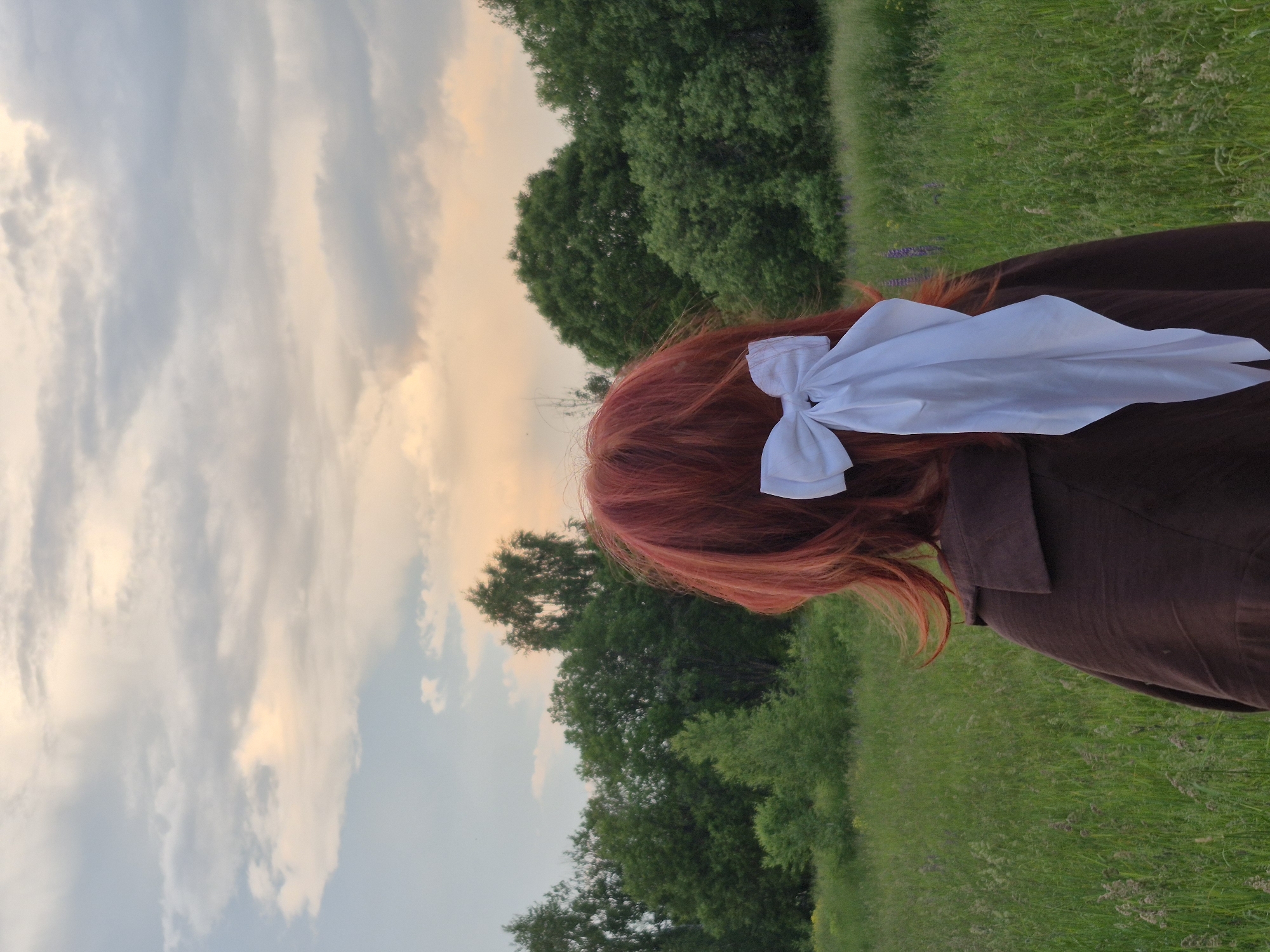 A person with vibrant red hair and a large white bow is viewed from behind, standing in a grassy field. The person is wearing a brown garment. The background consists of a line of lush green trees against a sky with soft, cloudy formations tinged with warm, sunset colors. The overall setting appears to be a rural, natural environment. The image does not provide any information about the city of Doinaya, Russia, or any specific location details.