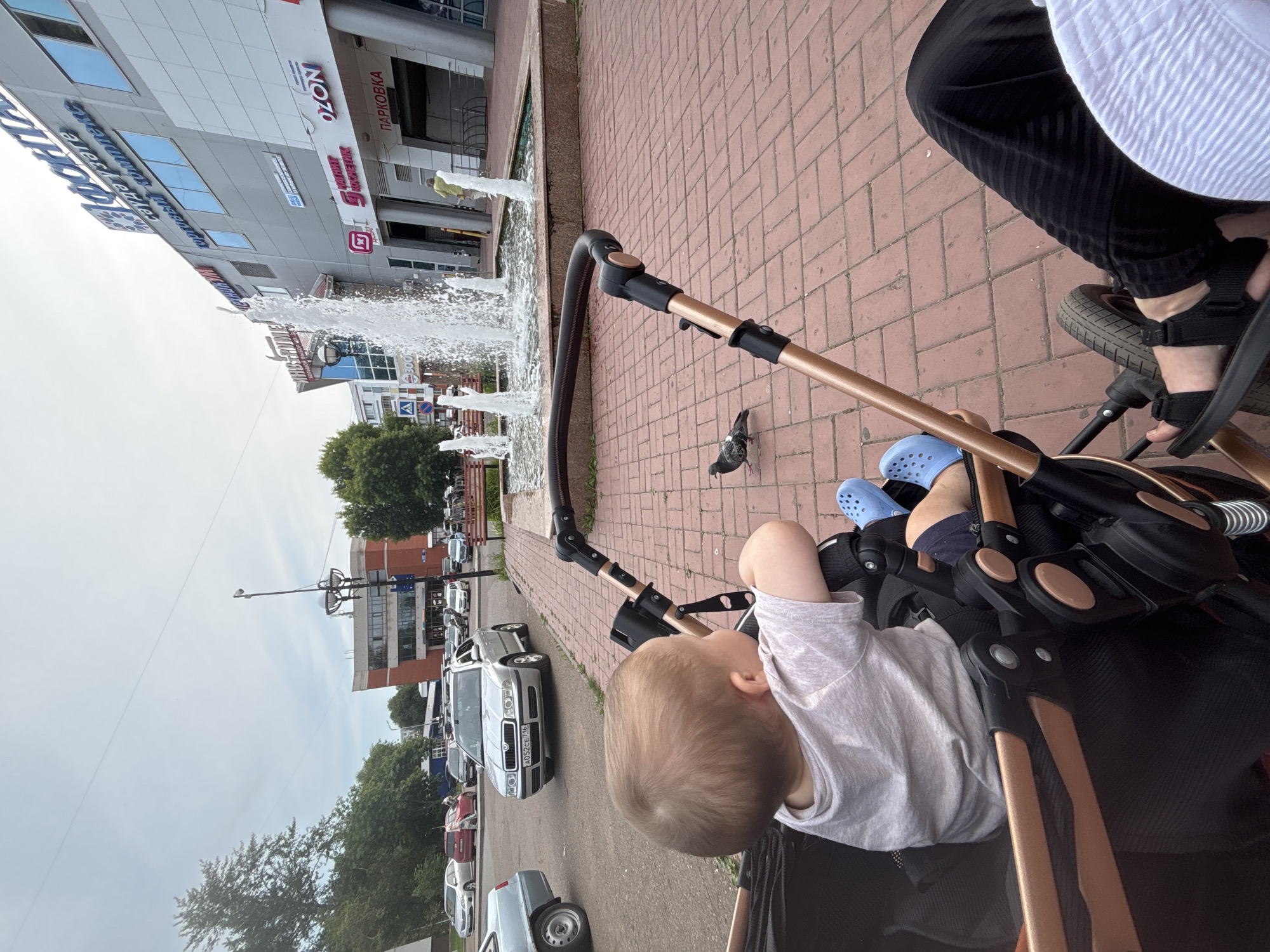 An outdoor, daytime, eye-level, slightly high-angle shot shows a baby in a stroller with a pigeon on the ground nearby. The baby, facing away from the camera, has light brown hair and wears a light grey t-shirt and blue Crocs. The stroller has a dark frame with gold accents. In the background, a fountain is spraying water. To the right of the fountain is a modern building with signs reading "ФОНТАН" (Fontan) and "OZON". The ground is paved with red bricks. To the left of the fountain, cars are parked on a street. The scene appears to be in the city of Naberezhnye Chelny, Russia, likely near a shopping center.