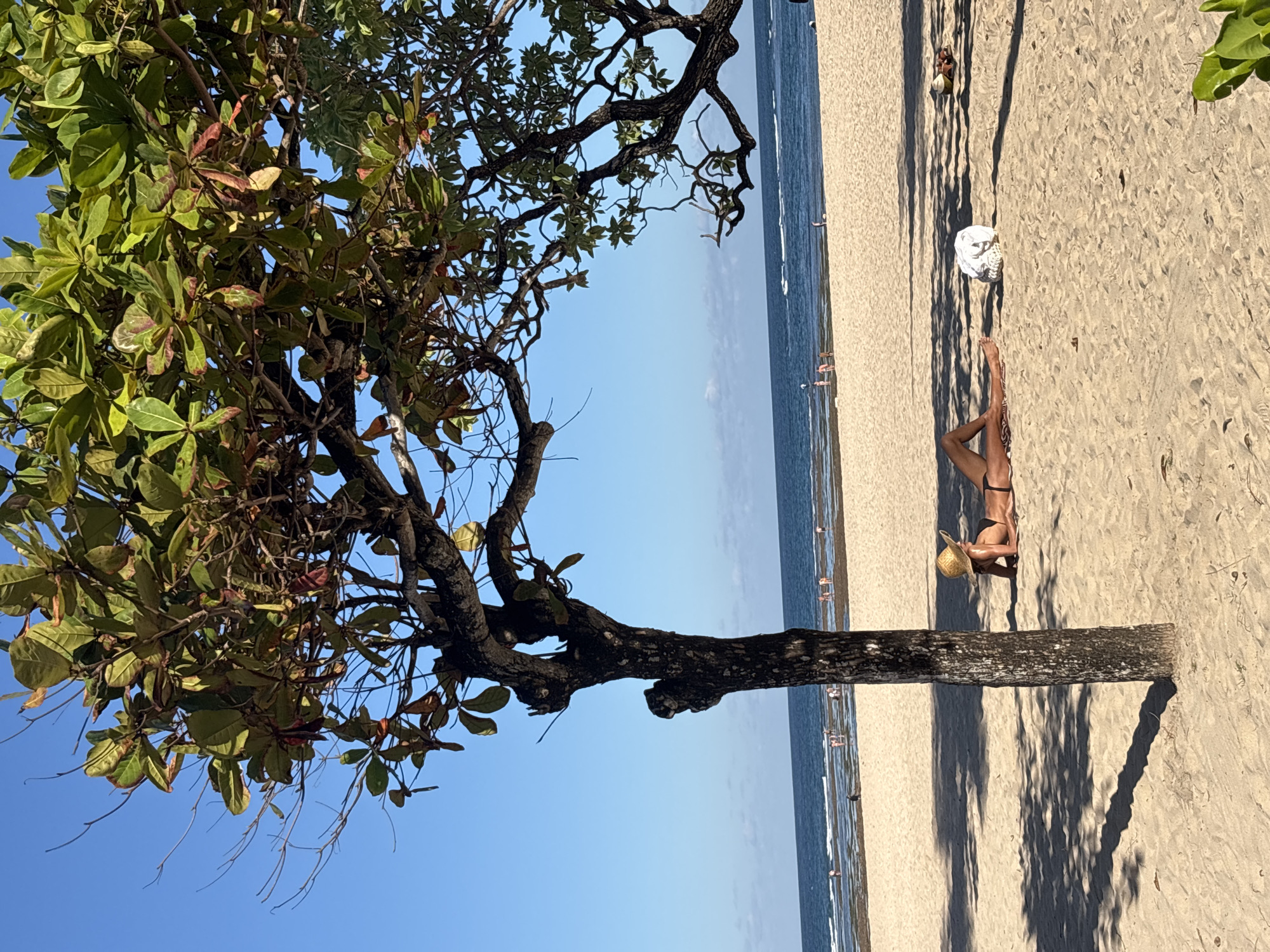 A medium shot depicts a beach scene in Kuta Selatan, Indonesia, taken from a high vantage point. The image is oriented with the horizon running vertically. A tree with green and brown leaves dominates the left side of the frame. Its trunk extends horizontally towards the right, casting a shadow on the sand. To the right of the tree, a woman wearing a bikini and a straw hat lies on the sand, sunbathing. Behind the woman is a white object, possibly a towel or a bag. The ocean is visible in the background, with several small boats and people in the water. The sky is clear and blue. The overall lighting suggests a sunny day.
