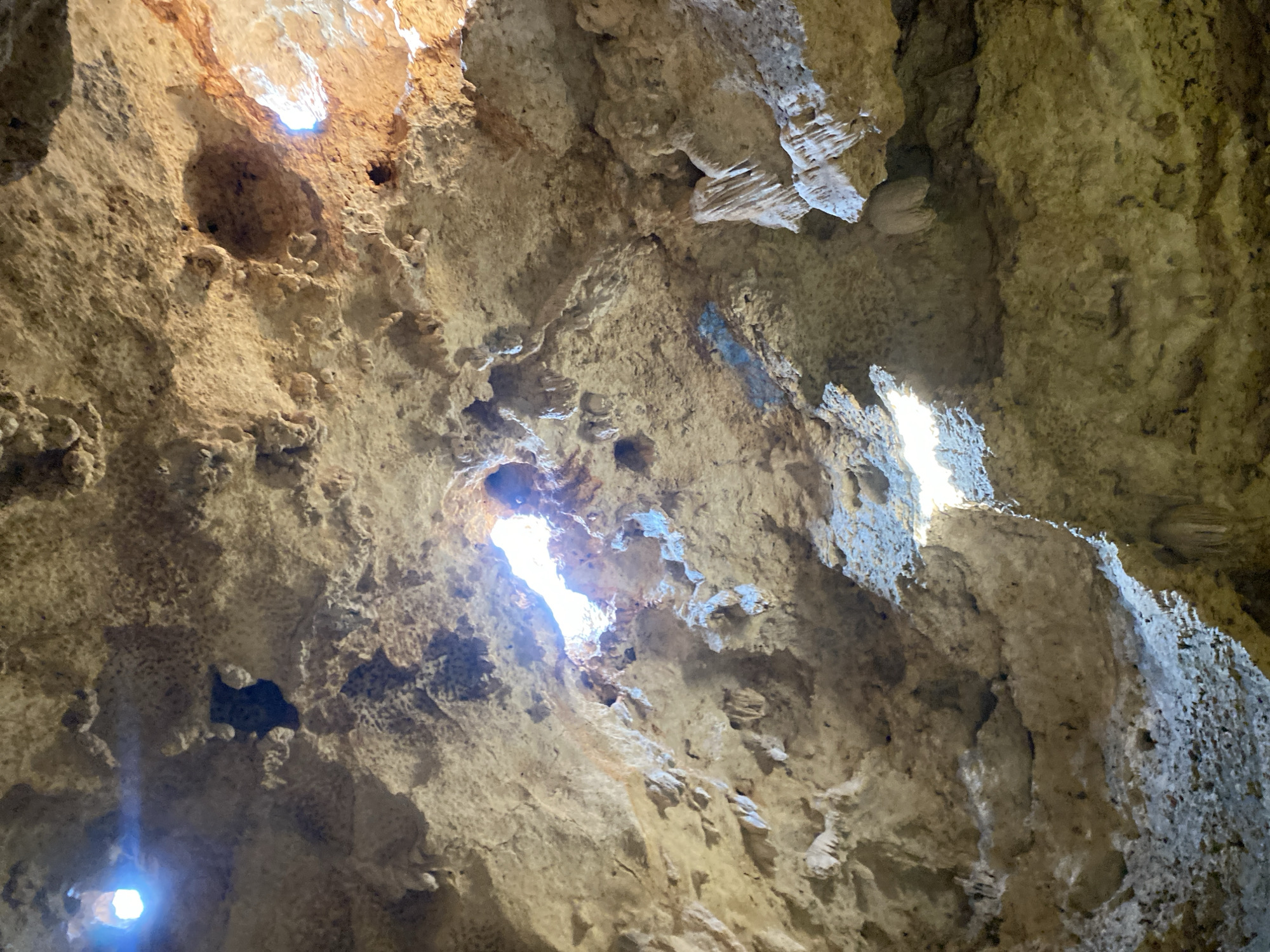 The image shows the rough, uneven ceiling of a cave. Sunlight streams through several openings in the ceiling, illuminating parts of the rock formation. The rock appears textured, with various bumps, crevices, and stalactite-like formations hanging down in places. The colors are predominantly earth tones of brown, tan, and beige, with some areas appearing lighter where the sunlight hits. The overall impression is of a natural, underground environment. The location is Unknown, Unknown.