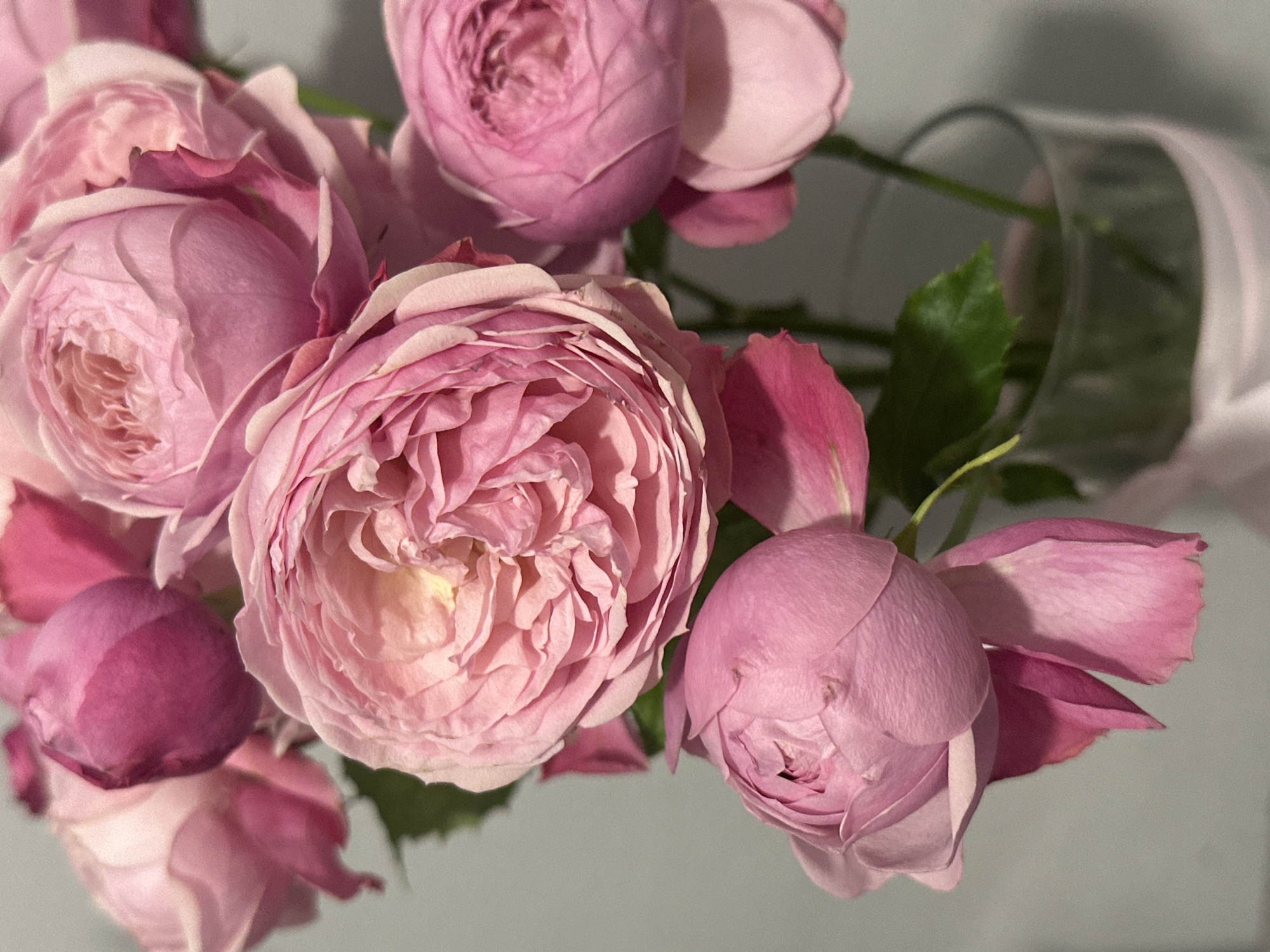 The image shows a close-up of a bouquet of pink roses in a clear vase. The roses are in various stages of bloom, from tightly closed buds to fully open flowers. The background is a plain, light gray surface. The location is not identifiable from the image content.