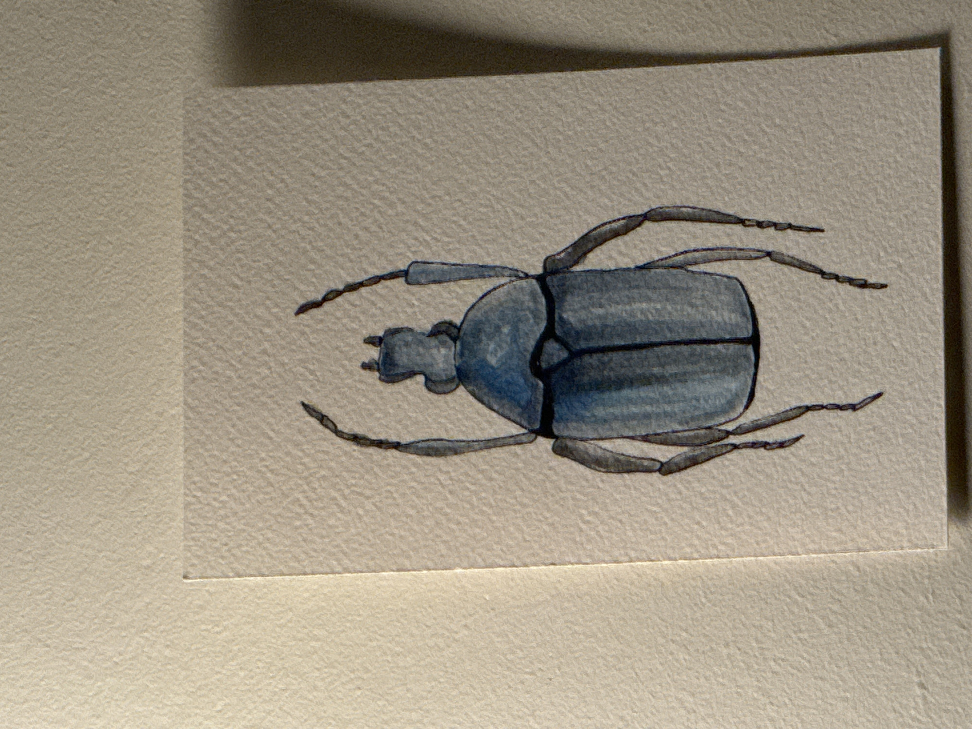The image shows a watercolor painting of a blue and grey beetle, mounted on a piece of textured paper. The paper is placed on a surface with a different texture, and a shadow is cast on the upper left corner of the image. The painting has the beetle facing up, with its six legs outstretched. The beetle's body is detailed with variations in color and shading, giving it a realistic appearance.
There is nothing to indicate that this image is in Moscow, Russia.