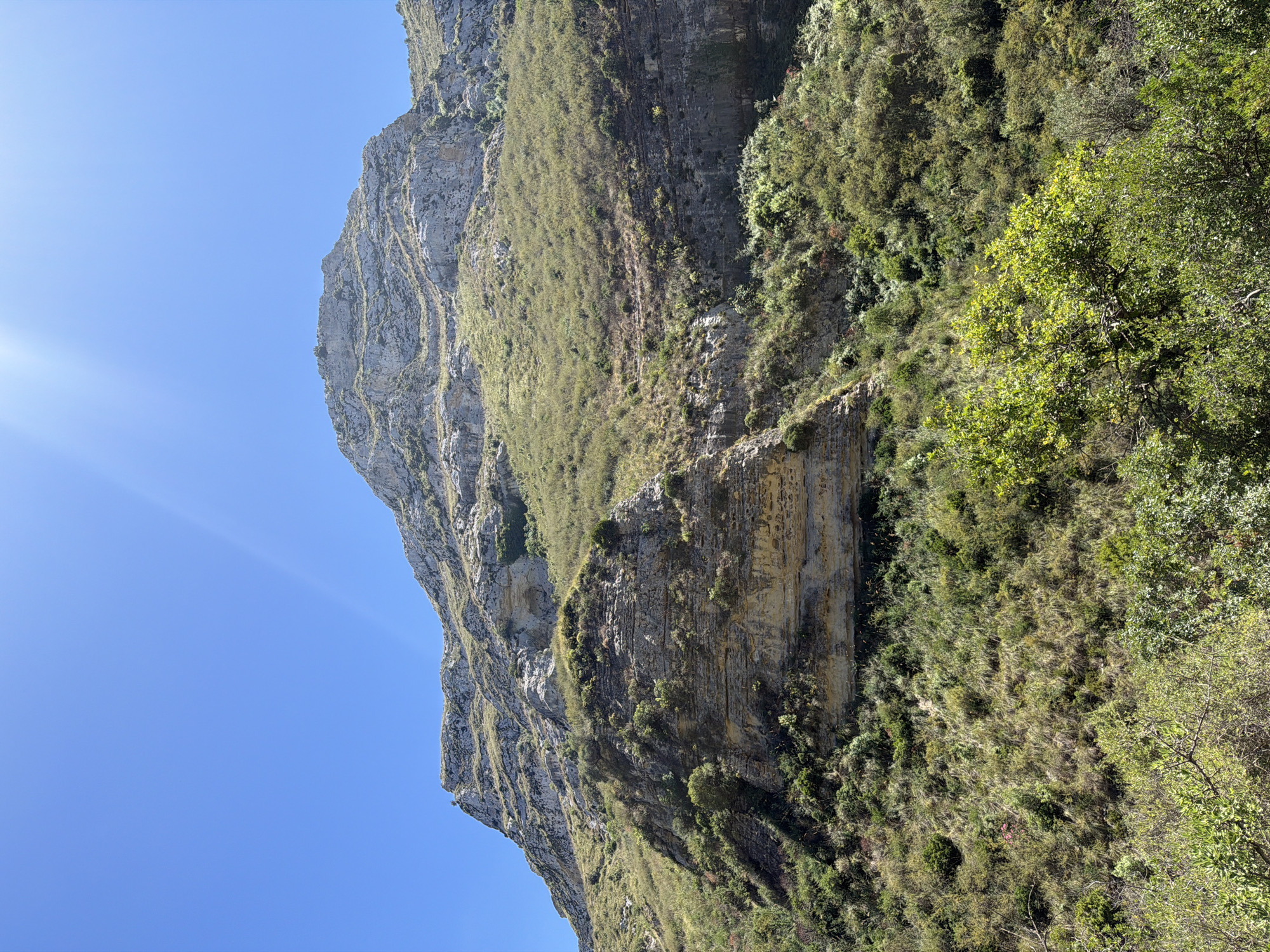 The image shows a rocky mountainside covered in dry grass and scrub vegetation. The sky is a clear, bright blue with a lens flare from the sun. The mountainside has distinct horizontal layers of rock, some of which are light beige and others are darker gray. The lower portion of the image is dominated by green trees and bushes. The scene appears to be a natural landscape.