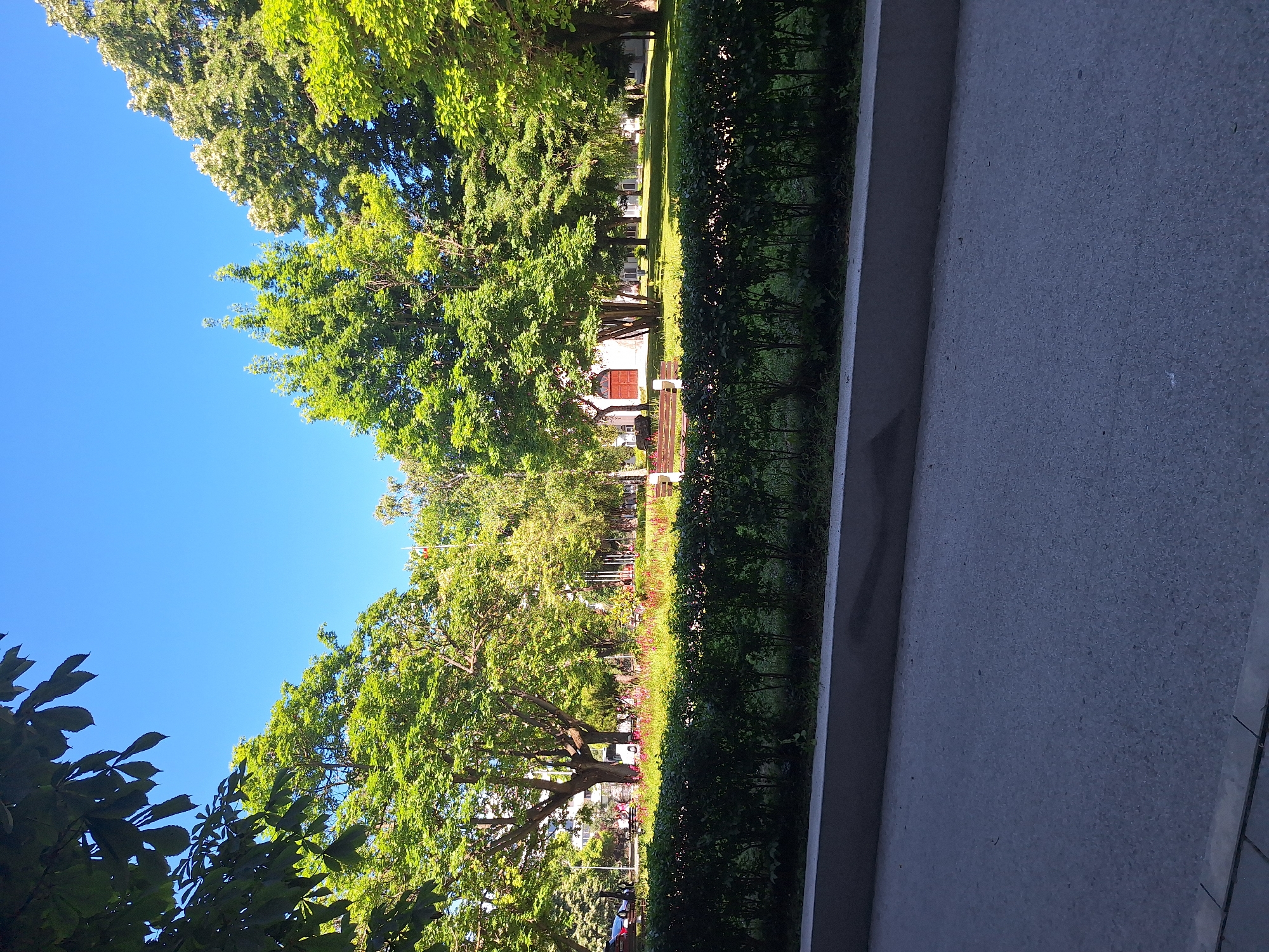 The image displays a scenic park on a sunny day in Varna, Bulgaria. The perspective is from a slightly elevated position, looking out over a tree-lined path and manicured hedges.
The subjects include lush green trees with dappled sunlight filtering through their leaves, creating a vibrant and natural atmosphere. A well-maintained hedge forms a distinct boundary along the right side of the park. In the background, several white buildings with red-tiled roofs are visible, suggesting a civic or institutional setting. A park bench is placed along the path, inviting rest and contemplation. The ground surface appears to be paved, with a distinct textured concrete area in the foreground, separated from the park by a white border.
The scene depicts a tranquil daytime setting, likely late morning or early afternoon given the bright sunlight and clear blue sky. The weather appears to be warm and pleasant, ideal for outdoor activities. The overall mood conveyed is one of peace and natural beauty. There is no visible text in the image.