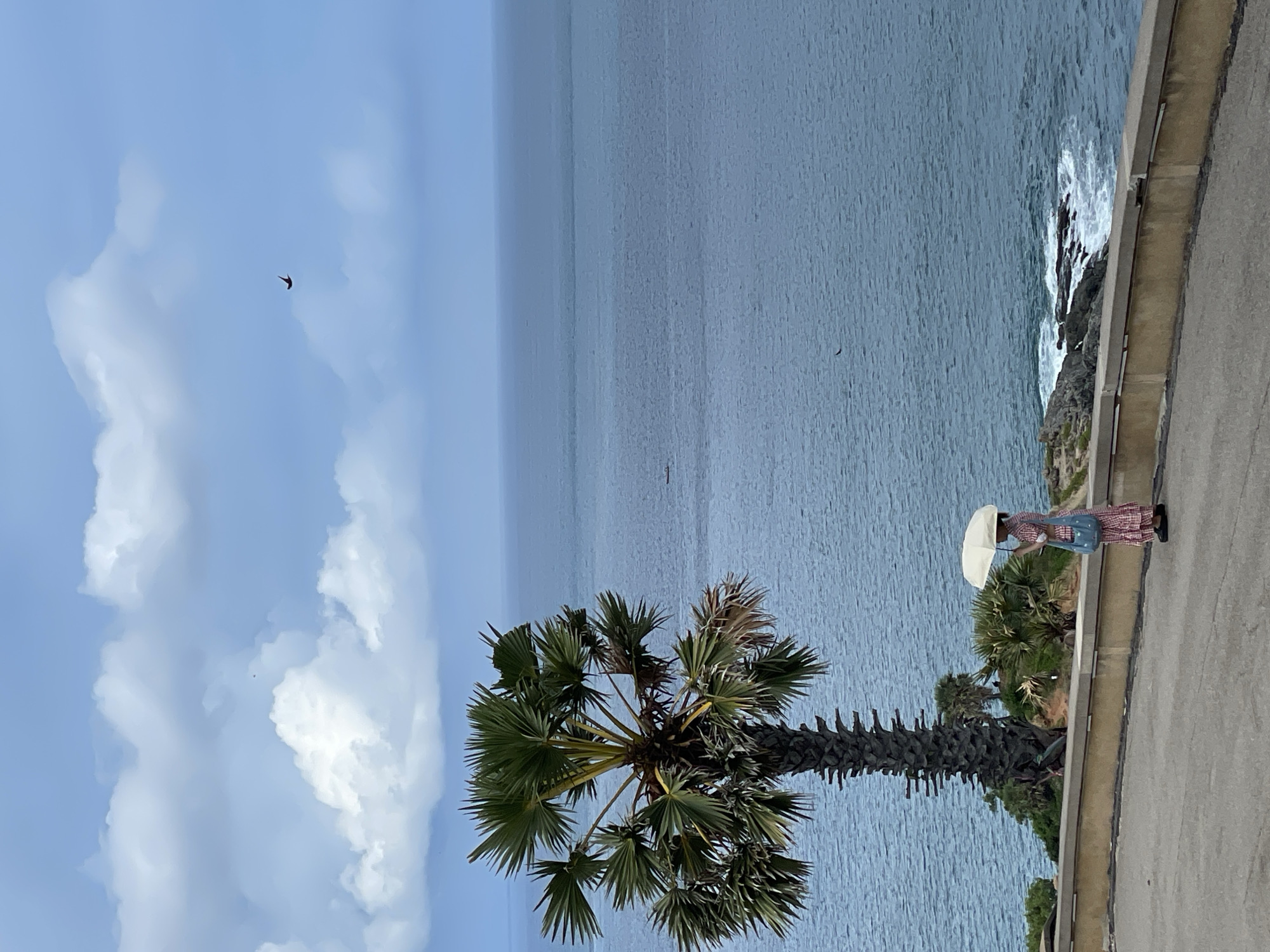 The image captures a scenic view in Rawai, Thailand. The foreground is dominated by a tall palm tree, with its fronds extending outwards. In the background, a vast expanse of ocean stretches to the horizon under a cloudy sky. A single bird is visible in the sky. On a concrete walkway bordering the cliff edge, a woman holding a white umbrella stands gazing out at the ocean. The surrounding greenery includes smaller palm trees and other vegetation. The overall impression is one of tranquility and natural beauty.