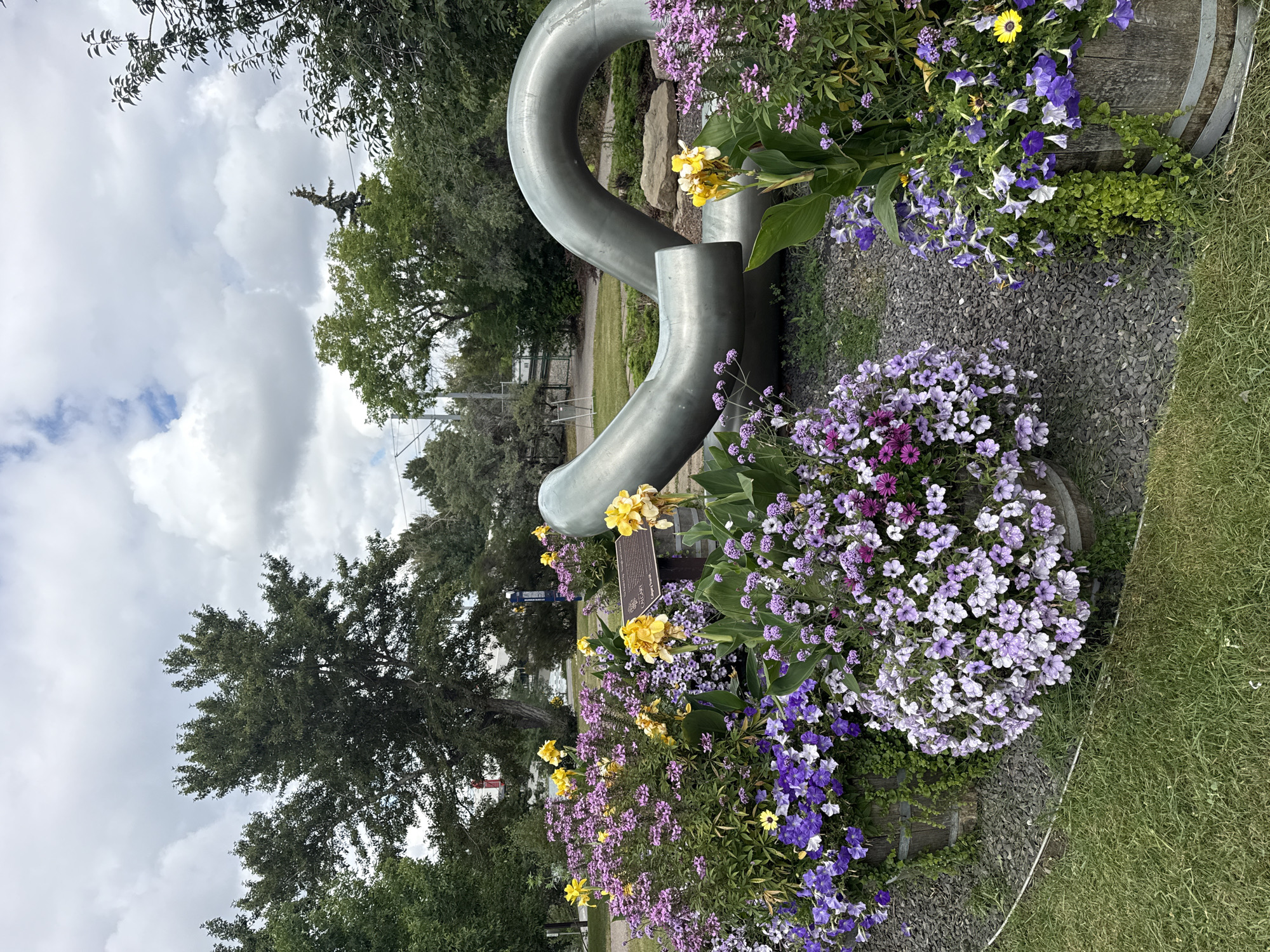 This is a medium shot photograph of a public art installation in Calgary, Canada, situated on a cloudy day. The sculpture, a large, smooth, grey, tubular structure, is the central subject, curving and looping in the background. In the foreground, a vibrant display of flowers overflows from wooden planters. The planters are filled with a mix of purple, lilac, and white petunias, interspersed with yellow and purple blooms. The ground around the planters is covered in dark grey gravel. To the left, a patch of green grass is visible. The overall environment suggests a park or outdoor public space, with trees and greenery forming the backdrop. A plaque is affixed to a post near the sculpture, though its text is not fully legible. No people are present in the image.