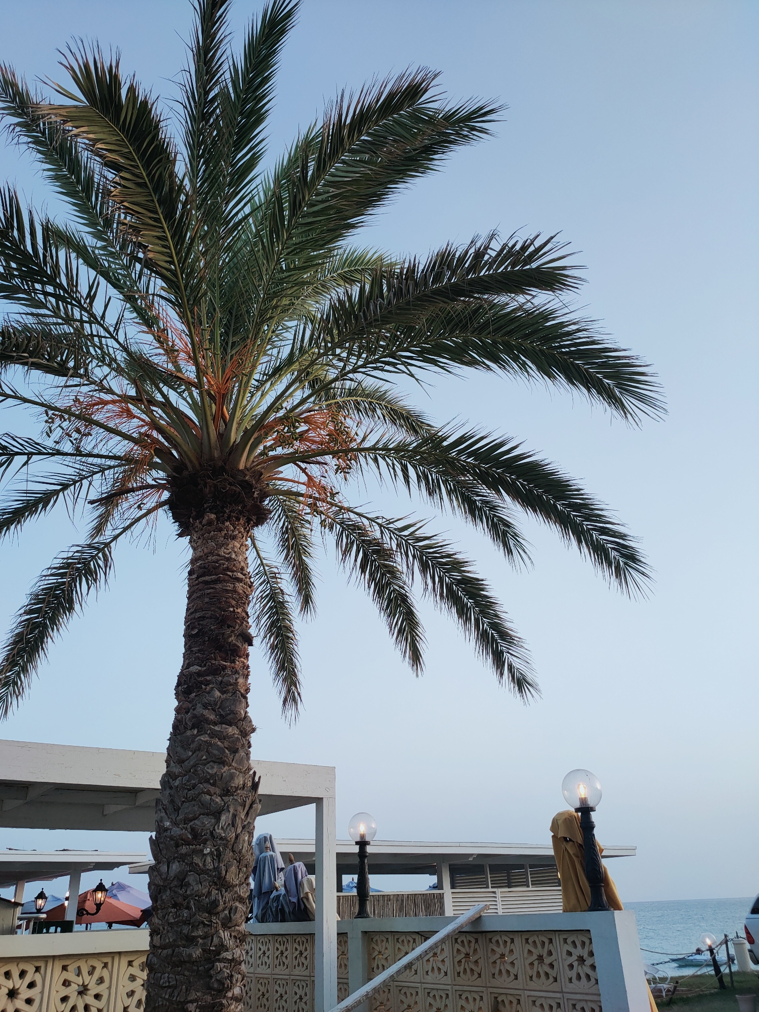 This image depicts a scene near the sea in Nabeul, Tunisia, likely during the late afternoon or early evening. A prominent date palm tree stands tall in the foreground, its fronds reaching towards the pale blue sky. Below the palm, a white structure with an open roof creates a shaded area. Several figures are partially visible within this structure, some appearing to be draped in light-colored fabrics, suggesting a relaxed or possibly religious context. Two ornate street lamps with globe-shaped lights are positioned on a decorative white wall in the mid-ground, one of which has a golden fabric draped over it. The sea is visible in the background, with a few small boats on the water. The overall atmosphere is serene, with the natural elements of the palm tree and sea contrasting with the man-made structures and decor.
