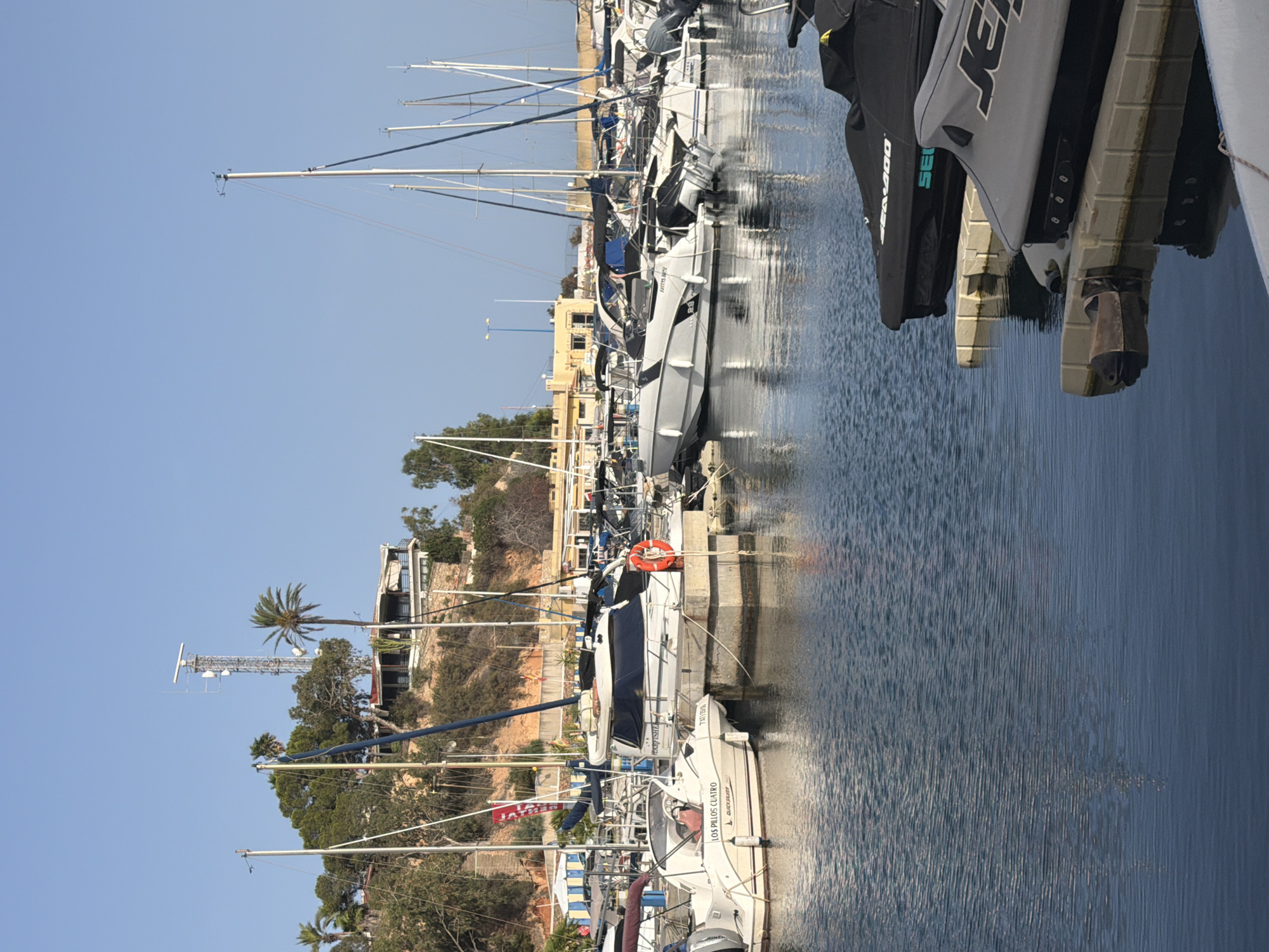 This is a wide, eye-level shot of a marina on a clear, sunny day. The water is dark blue and rippled, reflecting the boats and the sky. In the foreground, the edge of a white boat and the tops of two jet skis covered in black and gray tarps are visible. The jet skis are resting on a light-colored floating dock.
In the middle ground, numerous boats are docked. Most are white motorboats and sailboats with masts reaching towards the sky. Some boats have dark covers over their seating areas. One white motorboat has "LOS PILLOS CUATRO" written on its side. A red life preserver is attached to a wooden post on a concrete pier.
In the background, a hillside is covered in green trees and bushes. A building with a red roof and white trim sits on the hill, partially obscured by trees. A tall, metal tower with communication equipment, including a radar dish, stands on the highest point of the hill. A palm tree is visible near the tower. The sky is a clear, bright blue. The marina appears to be in a coastal or lakeside location with a temperate climate.