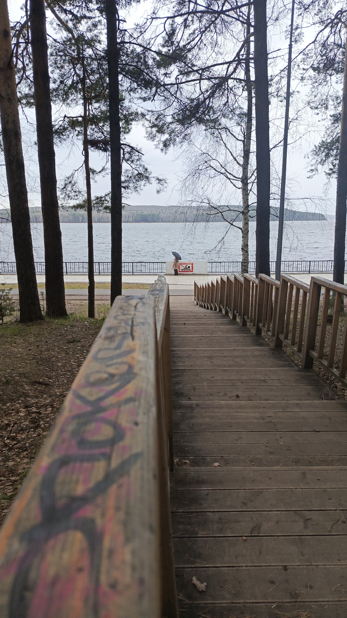 A descending wooden staircase leads towards a lake or large body of water, captured from an elevated perspective. The wooden handrail in the foreground on the left is adorned with graffiti in black, pink, and yellow hues. The dark wooden stairs are flanked on the right by a matching wooden railing.
To the left, tall, dark tree trunks, primarily pines, rise from a forest floor covered with dry leaves. Beyond the bottom of the stairs, a paved walkway stretches horizontally, bordered by a black metal fence separating it from the water. Across the wide, grey expanse of water, a distant forested shoreline is visible under an overcast sky. Among the trees near the water, a birch tree with bare branches stands out.
On the paved walkway, a solitary person is seen from behind, holding an open black umbrella, suggesting rain or the threat of it. They stand near a red and white object, possibly a sign or bench, which displays a white square with a red border and a warning symbol, likely indicating "no swimming" or "danger."
The time of day is daylight, under a cloudy, overcast sky. The bare trees contribute to a late autumn or early spring ambiance. The scene depicts a quiet, somewhat subdued recreational area by the water, possibly a lakeside promenade in Chaikovsky, Russia. The graffiti on the handrail, while undecipherable into specific words, adds a contrasting urban element to the natural landscape.
