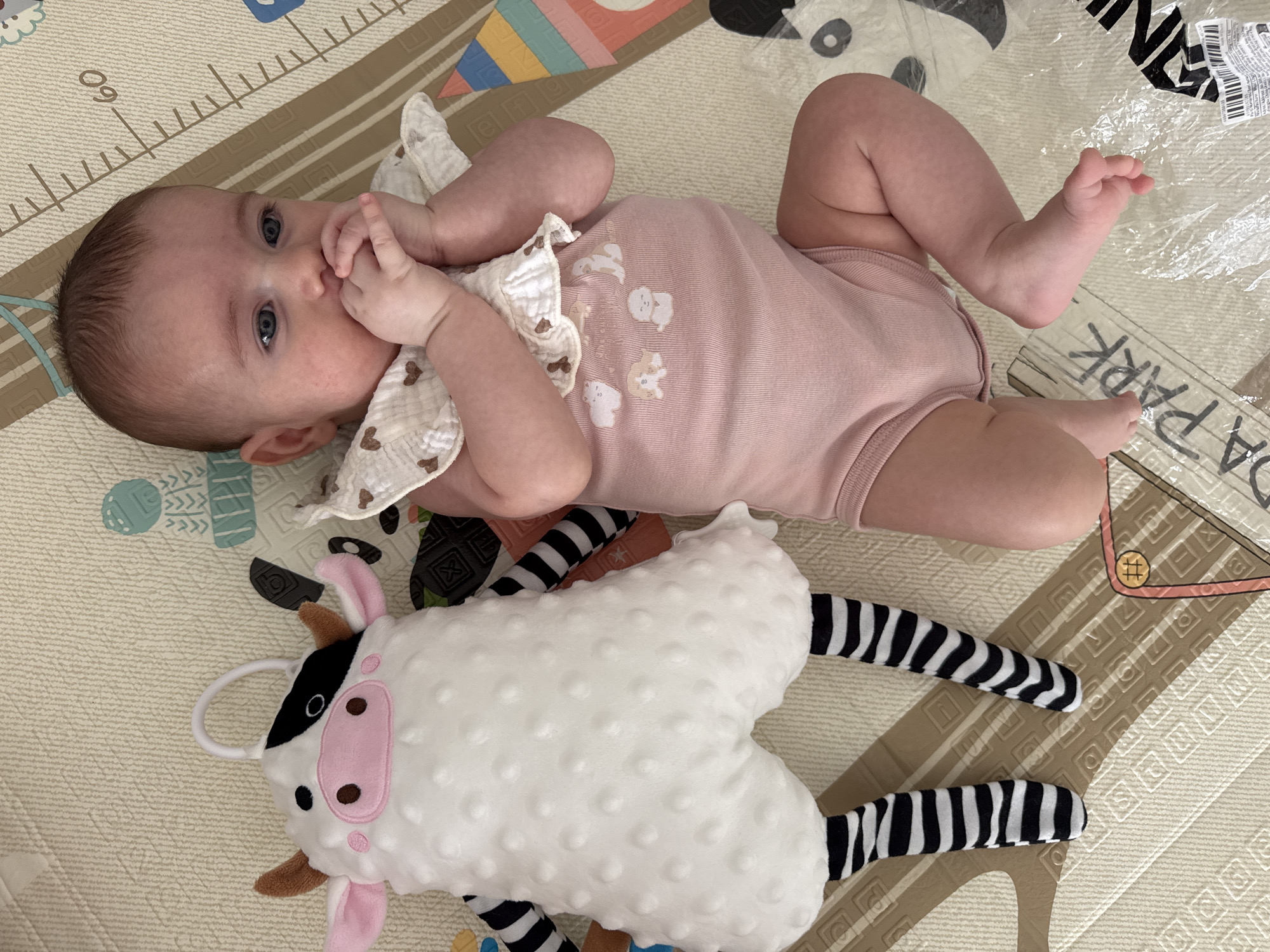 A baby is lying on a play mat. Next to the baby is a stuffed cow toy. The baby is wearing a pink onesie with dog prints and a white bib. The baby's hands are near their mouth. The play mat has a measurement scale printed on it. The scene appears to be indoors, possibly in a nursery.
