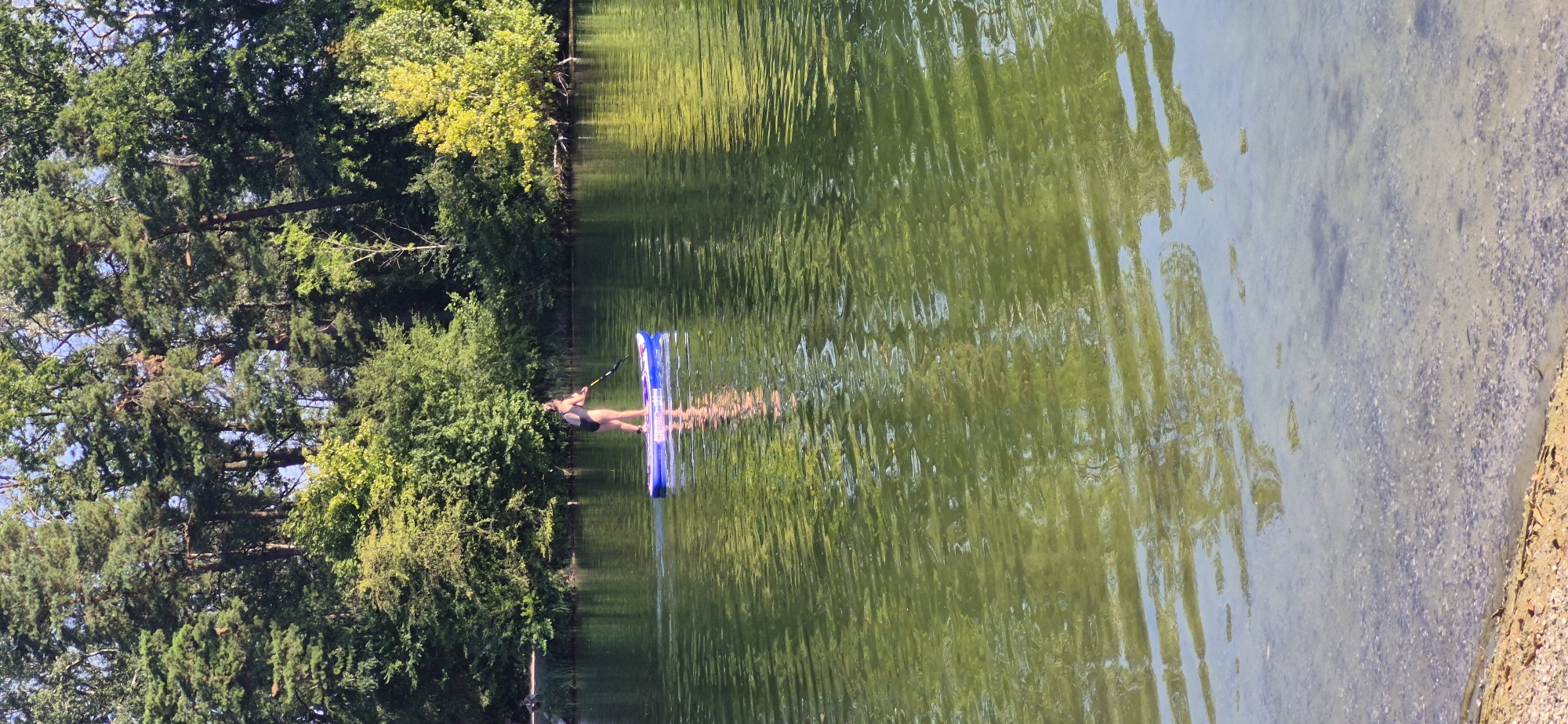 A person is paddleboarding on a lake surrounded by trees. The person is wearing a black swimsuit and is holding a paddle. The paddleboard is blue and white. The water is green and has reflections of the trees. The sky is blue. The image is taken during the day. This scene is likely in a park in Ingolstadt, Germany, given the presence of a lake and dense tree cover.