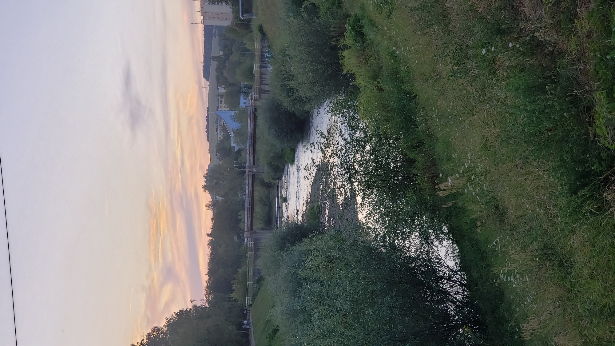 An outdoor, vertical, medium shot captures a serene river flowing through a city park area at dusk. The sky displays a soft gradient of pink and orange hues from the setting sun, with wispy clouds adding texture. A pedestrian bridge crosses the river in the mid-ground, supported by concrete pillars. The riverbanks are lined with lush green trees and bushes. The foreground consists of a grassy slope covered with wild vegetation, including tall grasses and small white flowers. In the background, low-rise buildings and a few taller structures are visible on rolling hills, indicating an urban environment. A group of people are seen walking on a path to the left of the bridge. The overall scene evokes a peaceful, natural setting within a city.