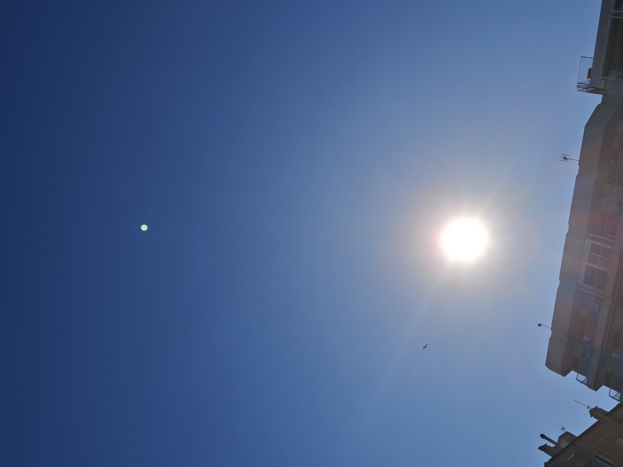 The image depicts a clear blue sky with the sun prominently positioned in the lower-middle section, emitting a bright glare. Slightly above and to the left of the sun, a silhouetted bird is captured in flight. In the upper portion of the sky, a small, light-green circular object is visible. The lower edge of the frame shows the tops of buildings, characteristic of a city. One building, in the foreground and slightly to the right, is a multi-story structure with balconies and an antenna on its roof. To the left, another building is partially visible, with chimneys and a metallic structure on its roof. The overall scene suggests an outdoor environment in a city, likely during daytime. Given the clear sky and architectural style, this could be consistent with a location in Torrevieja, Spain, a coastal city known for its sunny weather.