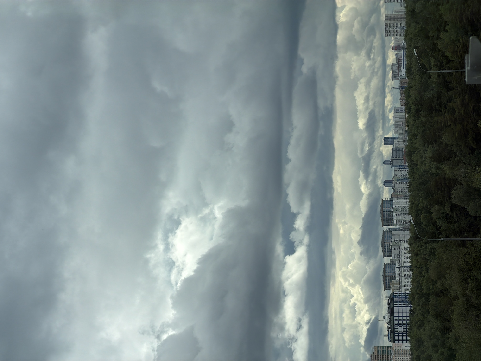 An overcast sky with thick, gray clouds dominates the upper portion of the image. Below the clouds, a line of city buildings is visible, interspersed with trees. The buildings appear to be of varying heights and architectural styles, suggesting a mixed urban and residential area. A dense, dark green forest runs along the lower part of the image, separating the city skyline from the viewer. The lighting is dim, consistent with a cloudy day. No people or specific actions are discernible in the scene. The overall impression is a somewhat muted and somber urban landscape under a heavy sky.