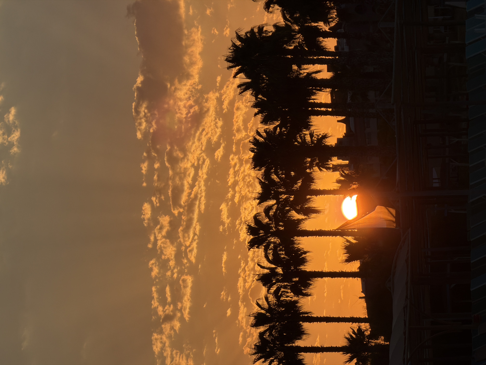 A vibrant sunset casts a warm, golden-orange glow across the sky, illuminating scattered clouds. Silhouetted palm trees stand tall against the colorful backdrop, their fronds creating a dramatic effect. In the foreground, dark structures, possibly beach umbrellas and lounge chairs, are visible, hinting at a resort or coastal area. A white flag, also silhouetted, flutters gently in the breeze, partially obscured by the setting sun. The overall scene evokes a tropical atmosphere, characteristic of locations like Manavgat, Turkey, known for its coastal beauty and warm climate.