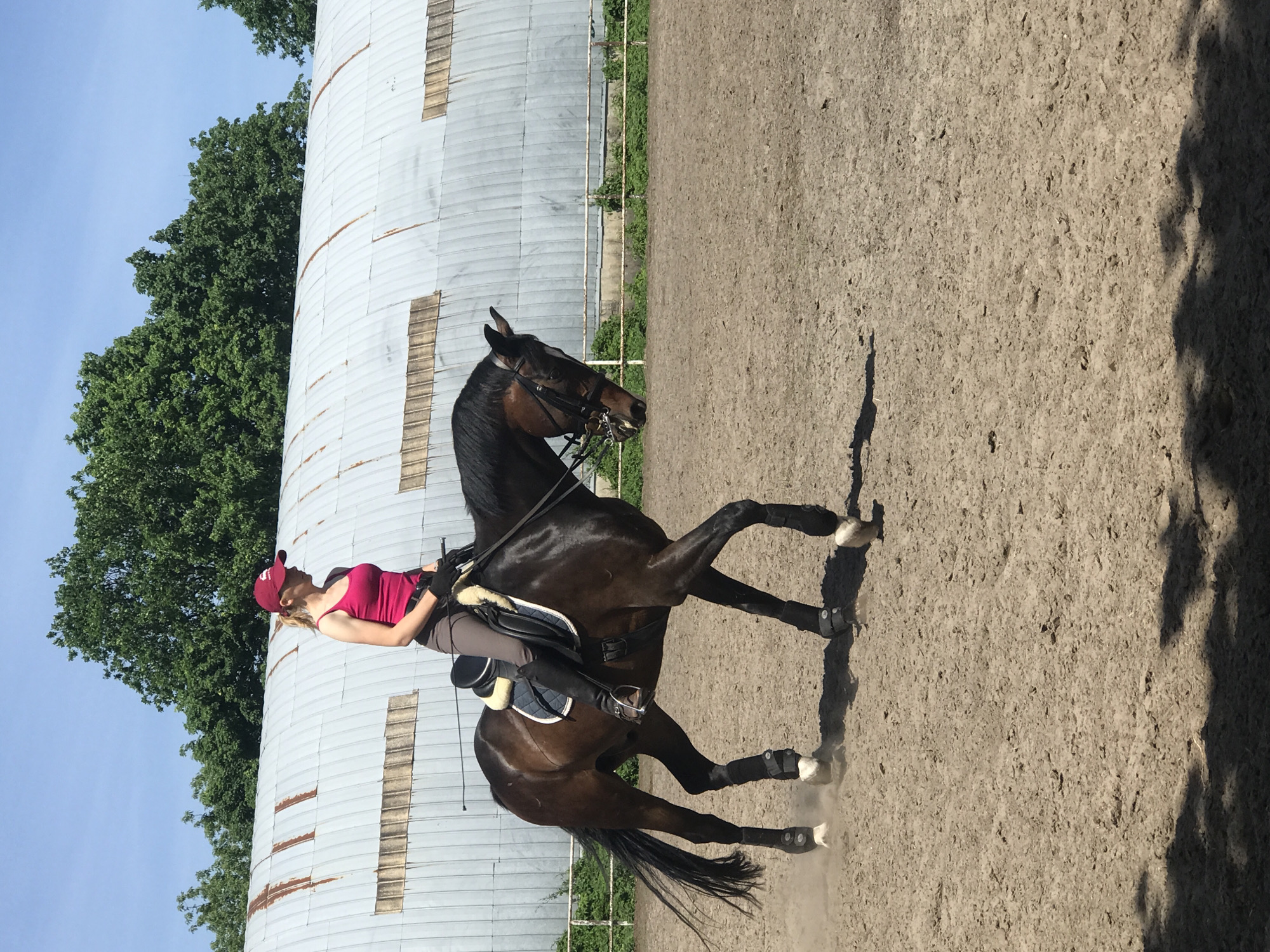 A woman is riding a dark brown horse in an outdoor arena. The woman is wearing a red tank top, riding pants, and a red baseball cap. She is holding the reins and a riding crop. The horse is in motion, with its legs raised. The arena has a dirt surface. In the background, there is a large, metal building and green trees. The sky is blue.