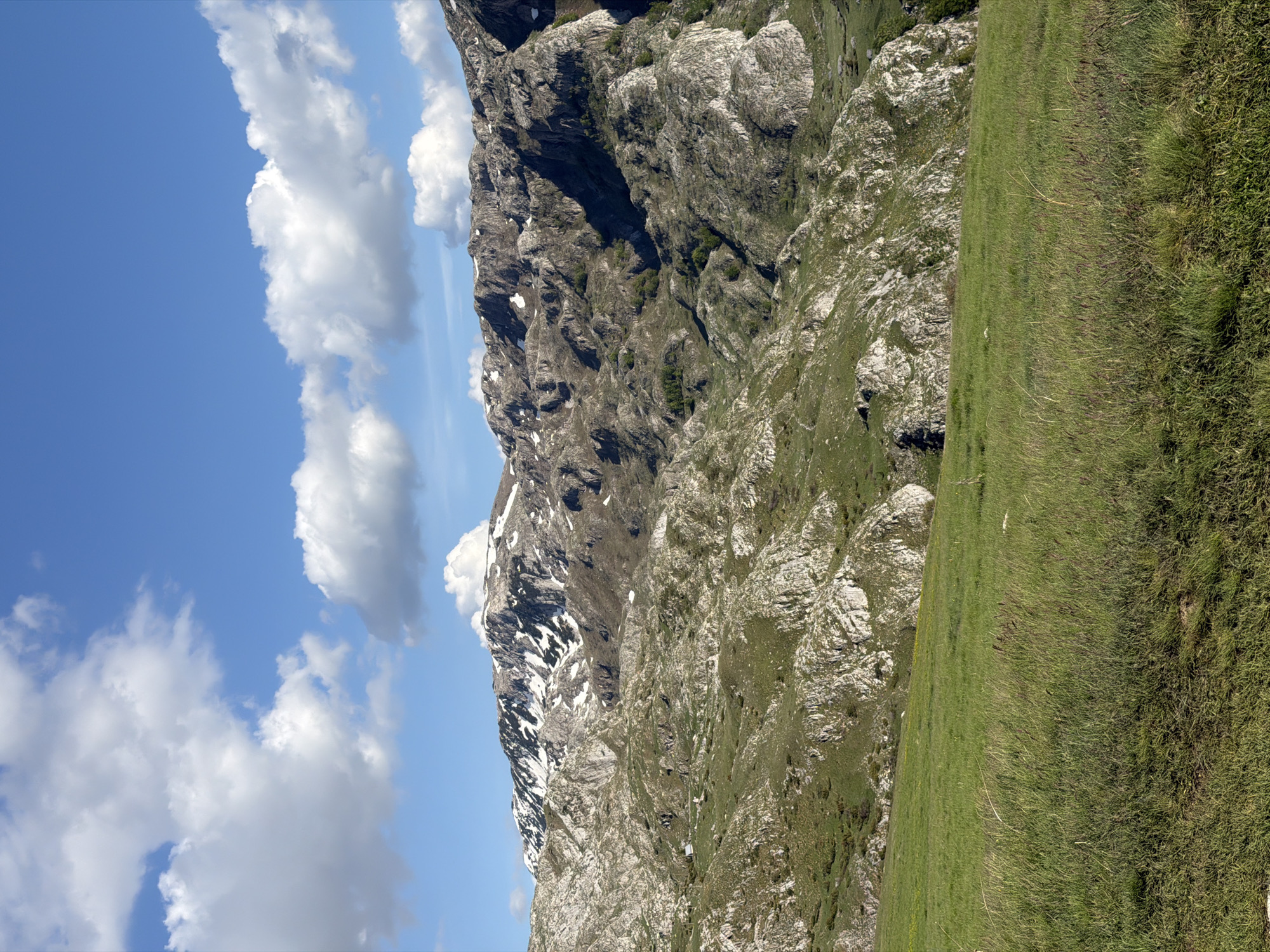 The image shows a mountain landscape in Boričje, Montenegro. The left side of the image features a blue sky with white, fluffy clouds. The majority of the image is dominated by a large, rocky mountain with patches of snow, especially on its upper slopes. The lower part of the image features a green, grassy meadow that borders the mountain.