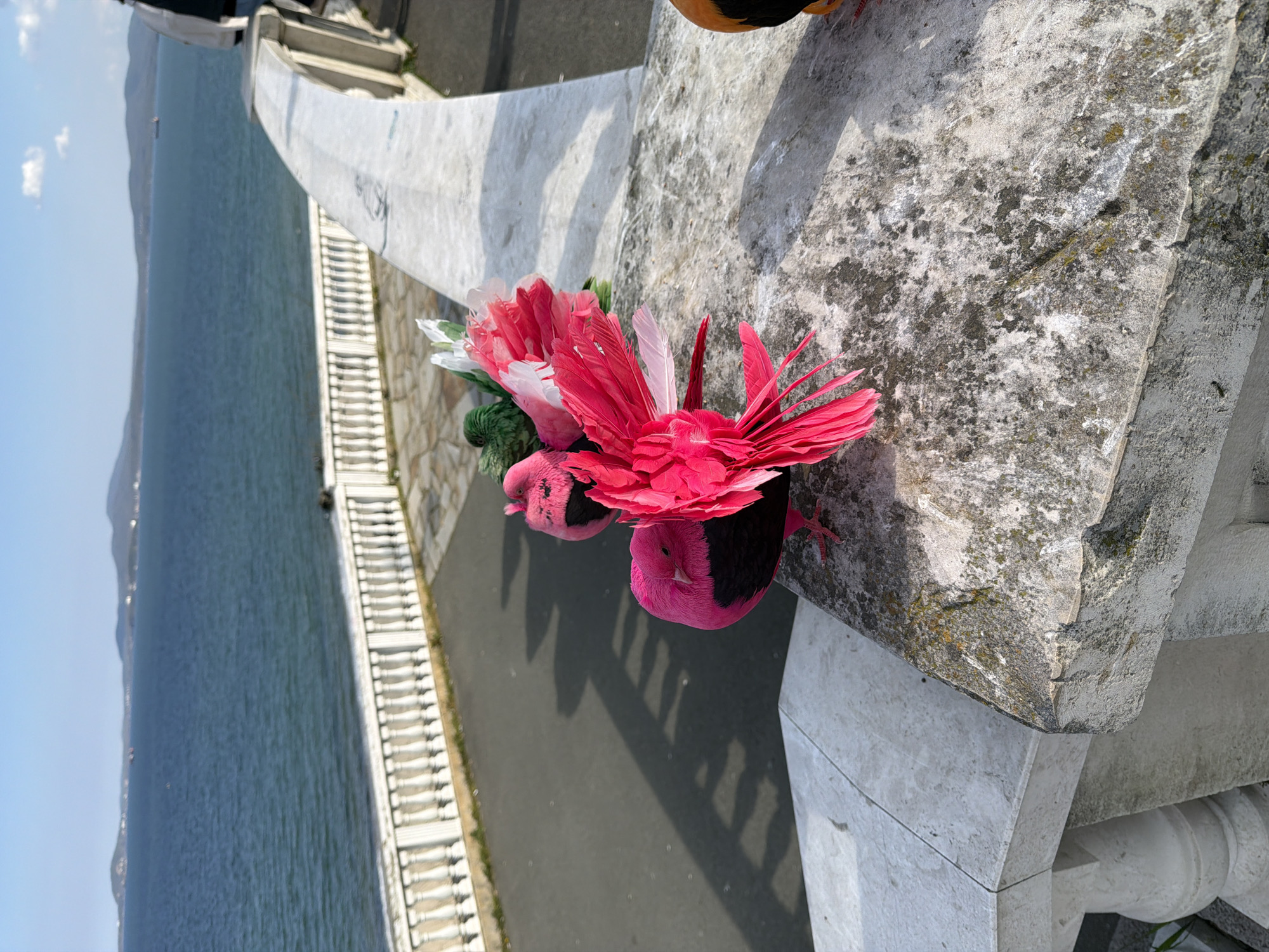 The image depicts a stone wall with two vibrant pink and black pigeons perched on it. The pigeons are adorned with feathery headpieces in shades of pink, red, white, and green. Below the wall, there is a paved pathway followed by a white balustrade along the edge of a body of water. In the background, distant mountains are visible under a clear blue sky.