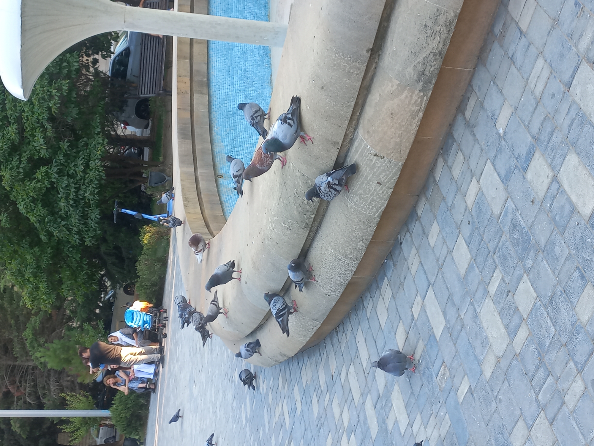 The image depicts a public area, likely a park or a plaza, in Baku, Azerbaijan, as suggested by the architecture and presence of pigeons. In the background, a group of people are seated and standing near a blue stroller, with one person holding a child. Trees and parked cars are also visible in the background, indicating an urban setting. In the foreground, a group of pigeons are gathered around a fountain with blue tiles. The ground is paved with interlocking bricks in shades of gray and blue. The overall scene suggests a leisurely outdoor activity.