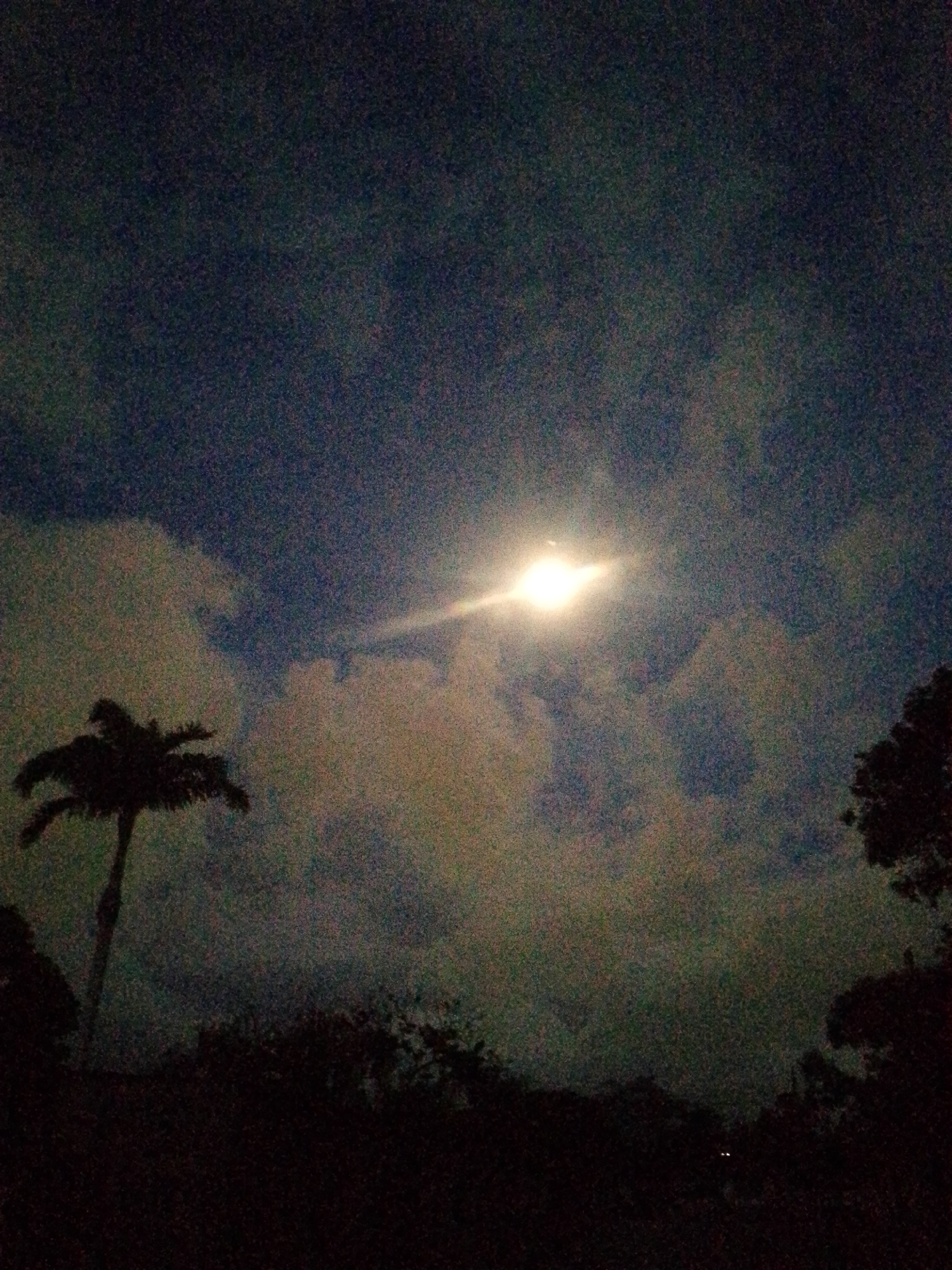 A night shot depicts a dark scene in Juan Griego, Venezuela, with a bright celestial body, likely the moon, shining through a cloudy sky. Silhouetted trees dominate the lower portion of the frame, including a distinct palm tree to the left. The rest of the lower half is enveloped in darkness, making details indistinguishable.