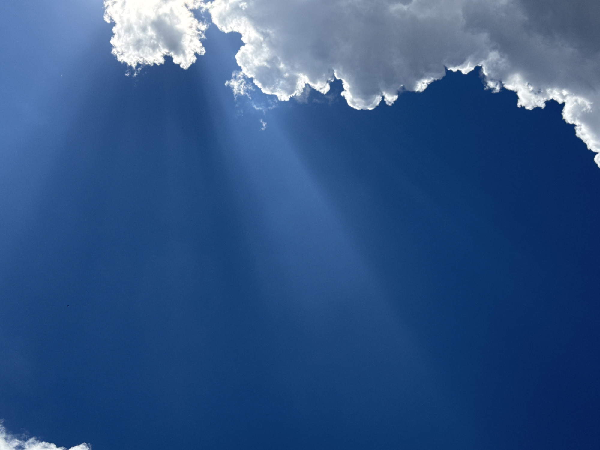 This media file captures a bright, clear blue sky with fluffy white clouds forming a jagged line across the top portion of the frame. Sunlight streams through breaks in the clouds, creating visible rays that descend into the sky. A tiny dark speck, possibly a bird, is visible in the lower left quadrant against the expanse of blue. The bottom edge of the frame shows a sliver of white clouds. The overall scene evokes a sense of a pleasant day, likely in the late morning or afternoon, with good weather conditions. The location context of Mikhaylovsk, Russia, suggests an outdoor setting, perhaps a park or open field, looking upwards. There is no visible text in the image.