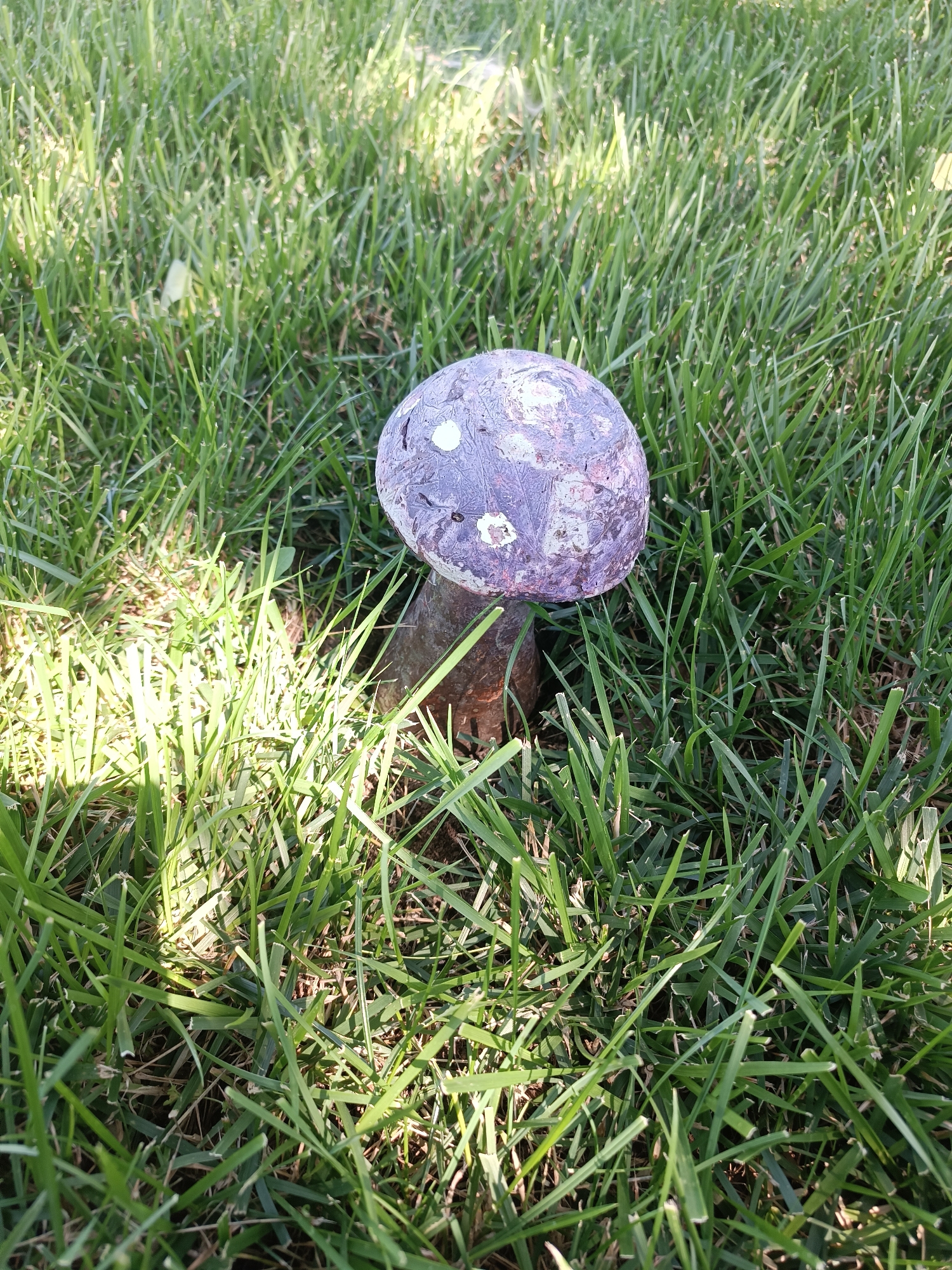 In Coșnița, Moldova, a lone, decorative mushroom sculpture, characterized by its purple, weathered cap with white speckles, is positioned in a patch of sunlit green grass. The mushroom's stem appears to be a dark, metallic rod. The surrounding environment is a typical residential lawn, with individual blades of grass clearly visible, some casting shadows from the overhead sunlight. The image is taken from a slightly elevated, close-up perspective, focusing on the mushroom and its immediate grassy surroundings. There are no people or animals present.