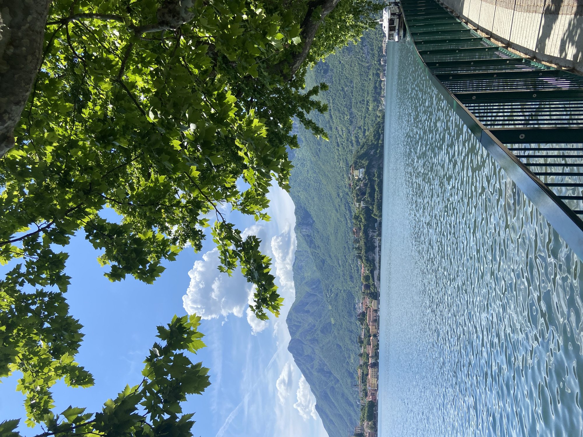 The image depicts a view in Lecco, Italy, showcasing Lake Como, mountains, and architectural structures. The composition features foliage from trees in the top left and bottom left corners. In the top right, a green metal fence is visible, partially obscuring a building structure. The lake's surface reflects sunlight, creating a shimmering effect. In the background, mountains covered in green vegetation rise above a town along the shoreline. The sky is blue with scattered clouds.