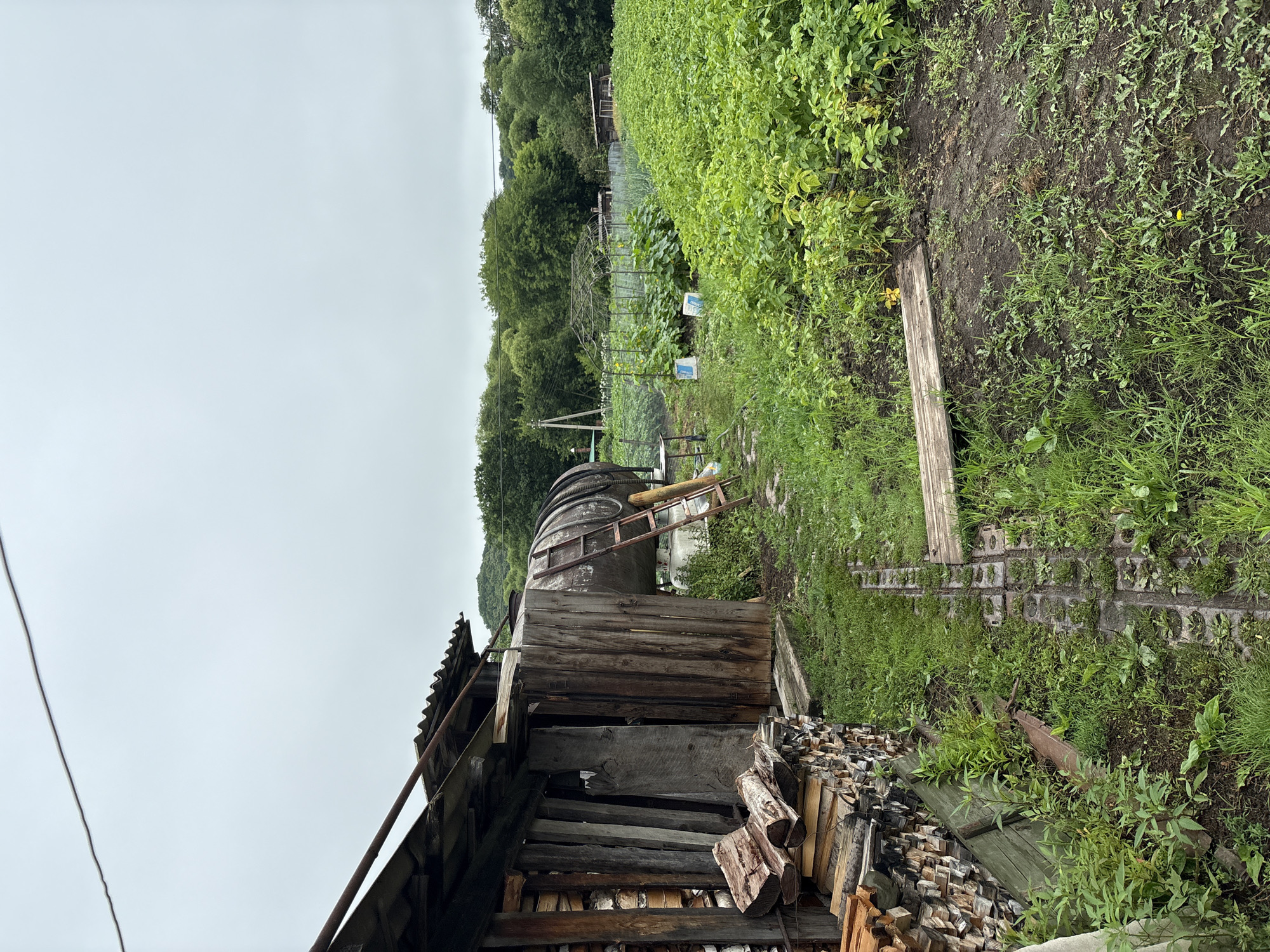 The image depicts an outdoor scene in Tikhovodnoe, Russia, featuring a small, rustic wooden shed on the left side of the frame. The shed has a corrugated metal roof and is filled with stacks of firewood. To the right of the shed, a large, weathered metal tank is visible, with a ladder leaning against it. Beyond the shed and tank, a cultivated garden stretches out, filled with rows of green plants. The sky is overcast, and the overall atmosphere is rural and somewhat unkempt. There are no people or animals visible in the image.