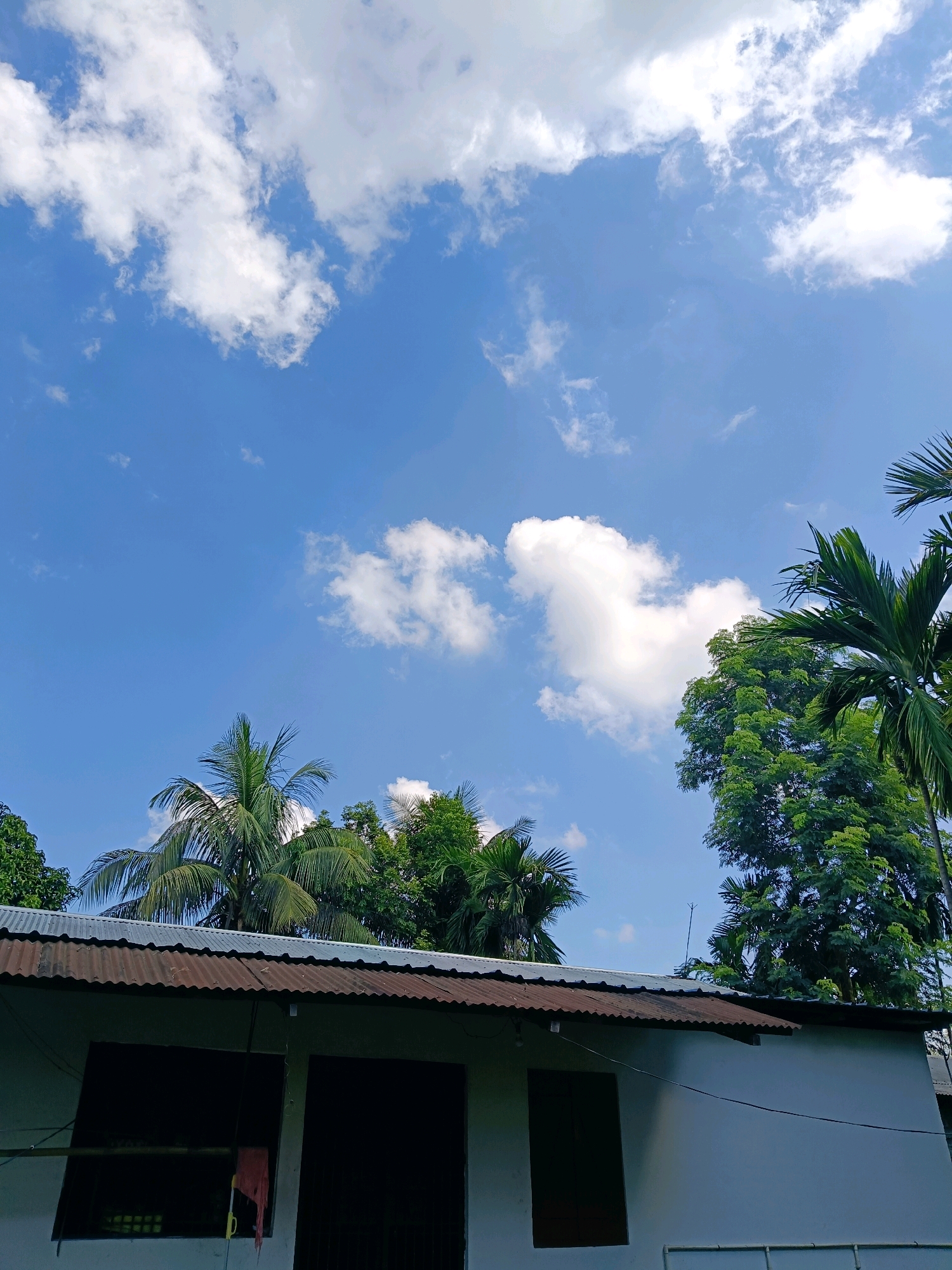 The image captures a view of a building with a corrugated metal roof against a bright blue sky filled with fluffy white clouds. Several types of trees, including palm trees and other lush green foliage, are visible behind and to the right of the building. The building itself appears to be a single-story structure with a white exterior and dark, shadowed openings that suggest windows or doorways. The overall scene is one of a rural or semi-rural environment, likely in Hatipara, India, under a clear and sunny sky. There are no people or active events depicted in the image.
