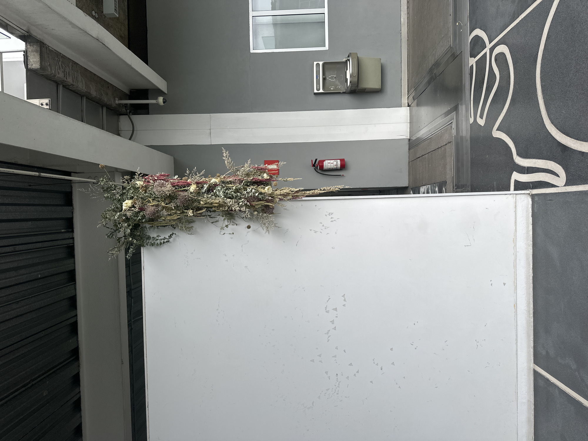 The image shows a section of a building facade in Mexico City, Mexico. A closed, white door is prominently featured on the right. Above the door, on the wall, there is a dried floral arrangement positioned near a red fire extinguisher and a fire alarm pull station. To the left of the door, there is a dark, corrugated metal surface. Above this area is a section of a modern architectural element with white, horizontal lines, possibly a canopy or overhang. A security camera is mounted under the overhang. A window and a drinking fountain are visible further up the building. The overall color scheme is monochromatic, with whites, grays, and blacks dominating. The image gives a sense of being in an urban, industrial environment.