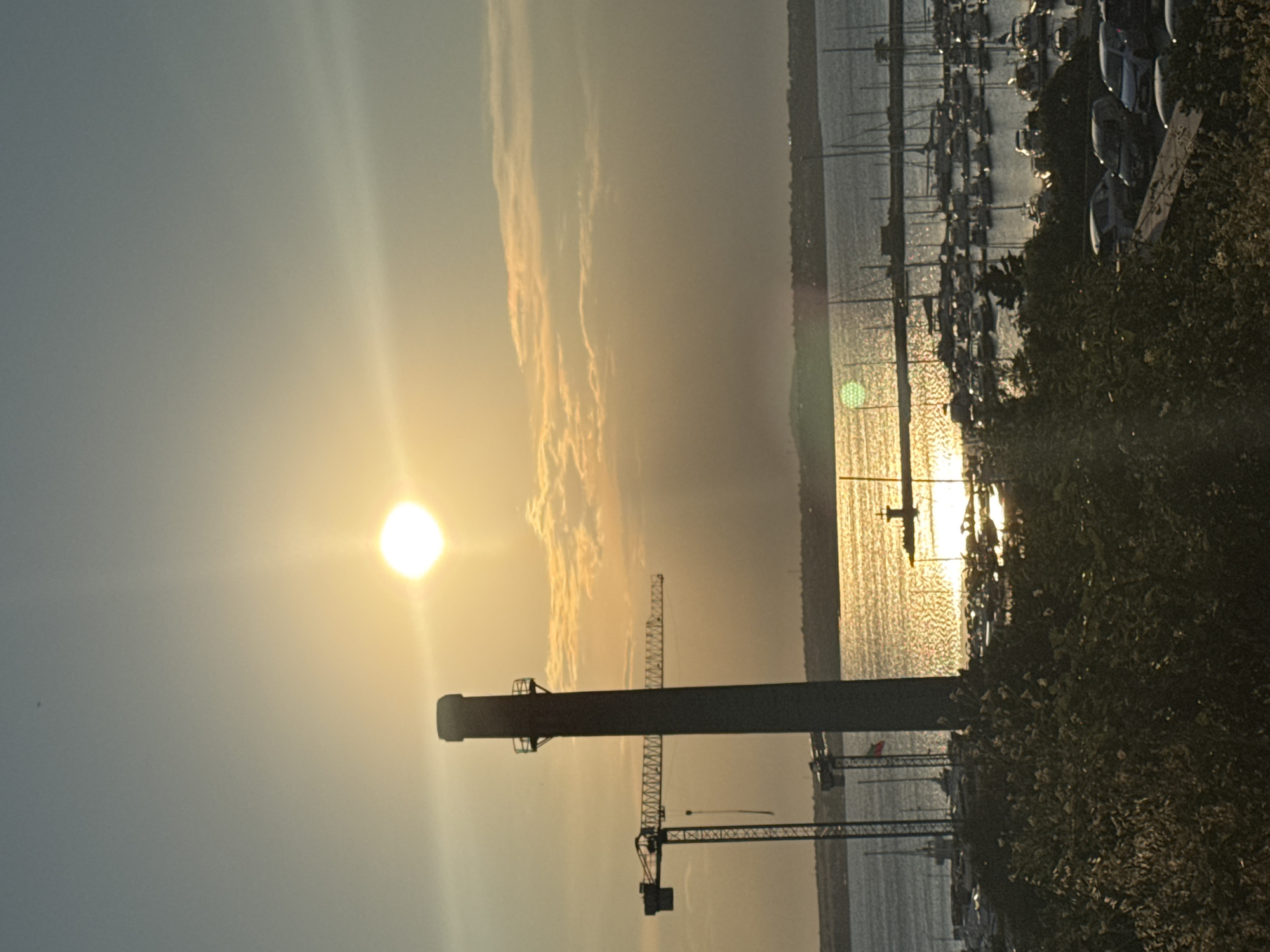 The photograph captures a sunset over a harbor in Sozopol, Bulgaria. Silhouetted against the golden sky is a tall, dark chimney or smokestack, a prominent vertical element in the foreground. To the left of the chimney, two construction cranes are also visible in silhouette, suggesting ongoing development or industrial activity near the waterfront.
The harbor itself is filled with numerous sailboats and smaller vessels docked side-by-side. Their masts create a complex pattern against the shimmering water, which reflects the warm hues of the sunset. In the distance, a strip of land with buildings and vegetation marks the coastline.
The sun, a bright orb near the center-top of the frame, is casting a strong glare and light rays across the scene. The sky is a gradient of pale blue at the top, transitioning through soft yellows and oranges as it approaches the horizon. Wispy clouds are scattered across the sky, illuminated by the setting sun.
In the lower part of the image, a dense area of dark green foliage, possibly bushes or trees, partially obscures the view of the harbor and a parking area filled with several cars. The cars are also silhouetted and appear to be various models and colors. The overall atmosphere is one of a coastal town at dusk, with a mix of industrial structures, maritime activity, and natural elements.