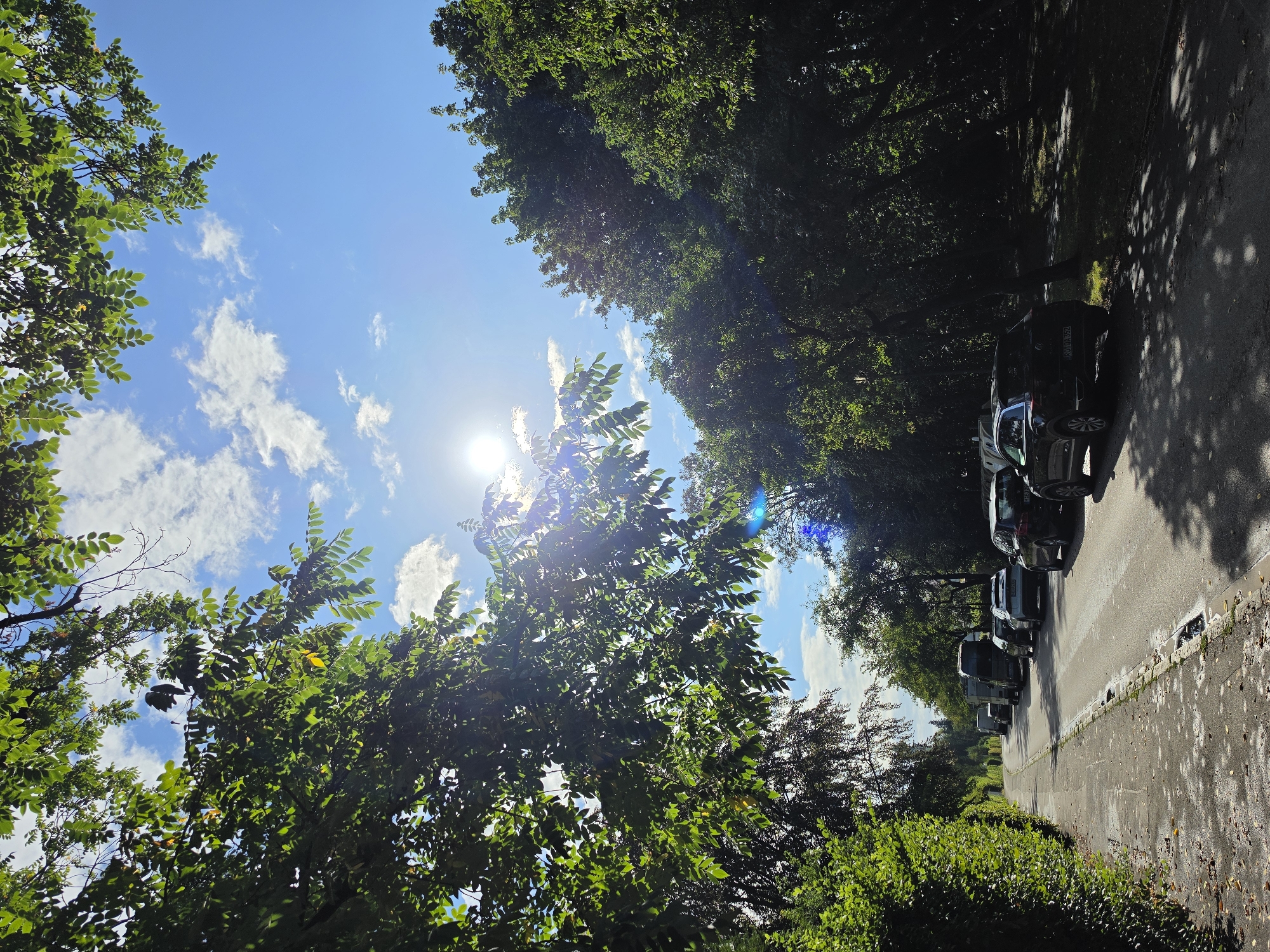 This image captures a sunlit street lined with trees and parked cars, situated in Munich, Germany. The perspective is from the side of a paved road, with a neatly trimmed hedge on the left and a dense row of trees on the right, casting dappled shadows on the asphalt. The sky above is a bright blue with scattered white clouds, and the sun is visible, creating lens flare and illuminating the scene. Several cars are parked along the right side of the road, including a dark SUV in the foreground with a visible license plate. The street appears to be in a residential or park-like area, given the abundance of greenery and the quiet atmosphere implied by the parked cars. The overall impression is one of a pleasant summer day in a well-maintained urban environment.
